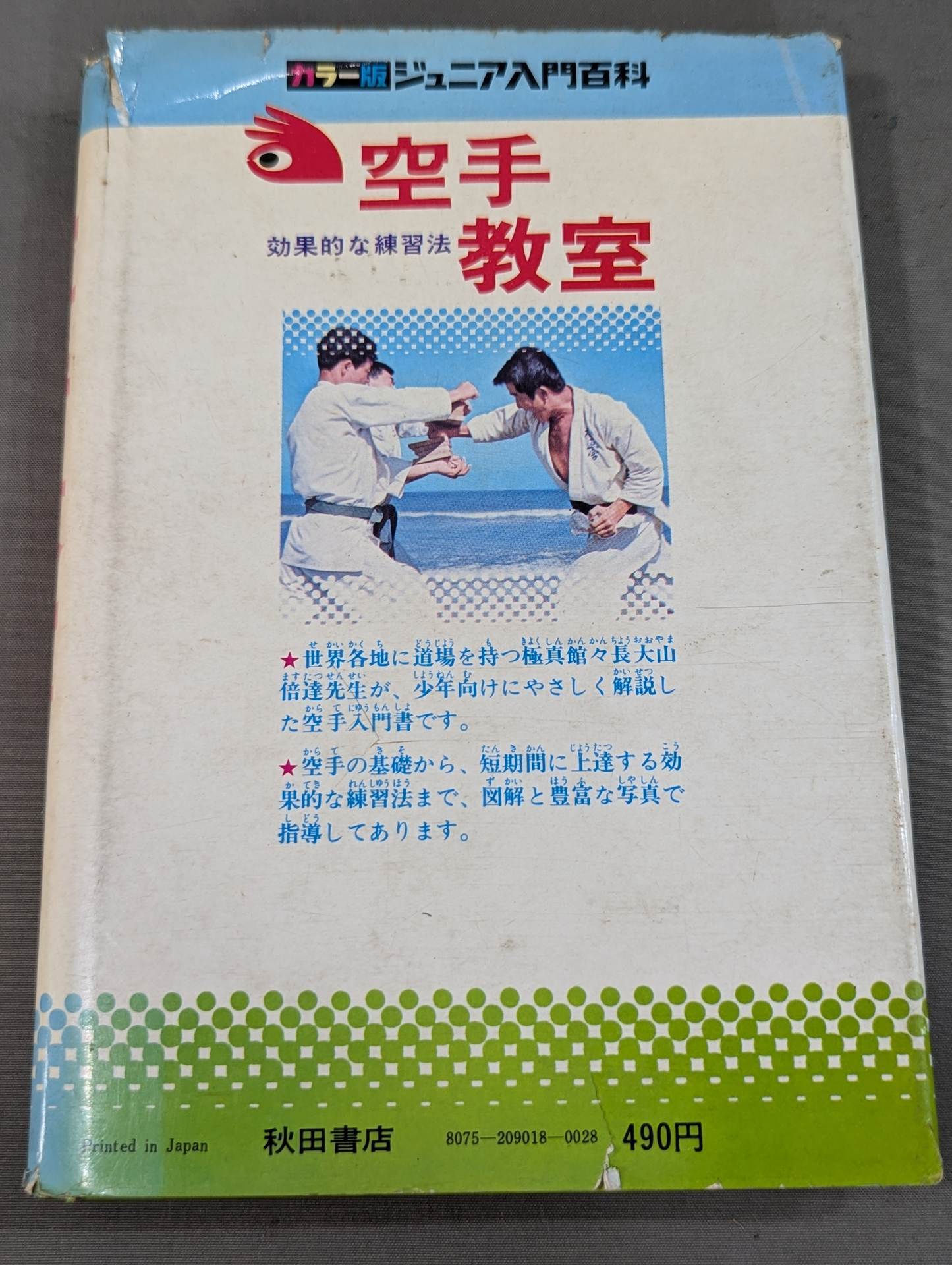 空手教室 カラー版ジュニア入門百科18