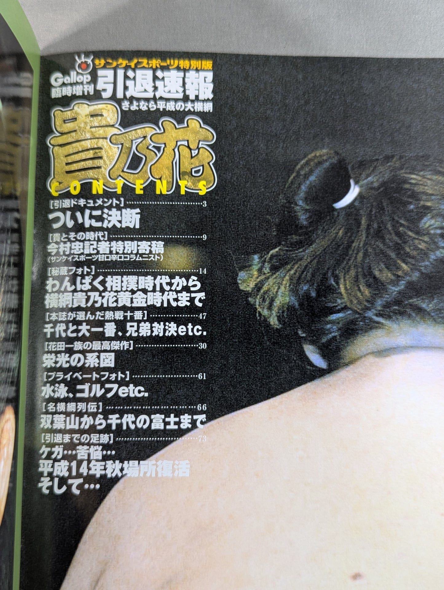 さよなら平成の大横綱 貴乃花 引退速報