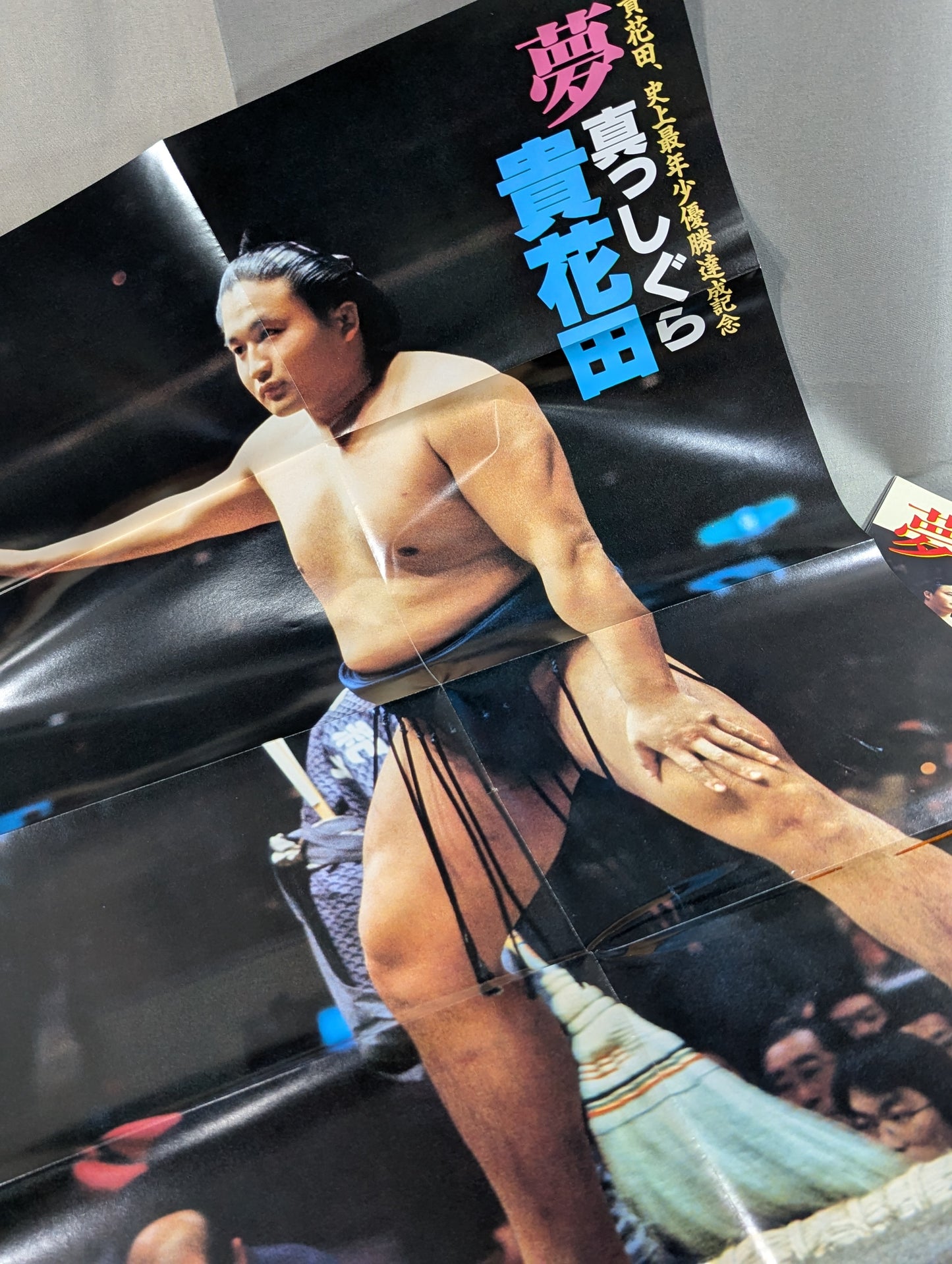 貴花田 史上最年少優勝達成記念 夢 真っしぐら