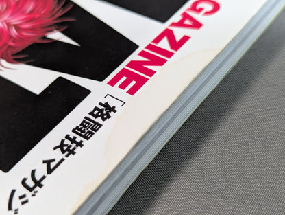 KAKUTOUGI MAGAZINE YAMATO [格闘技マガジン・ヤマト] VOL.1