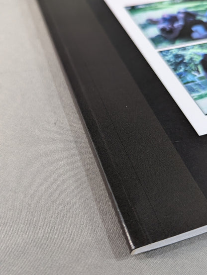 Grandmaster Ted Gambordella ： BACKYARD JIU JITSU