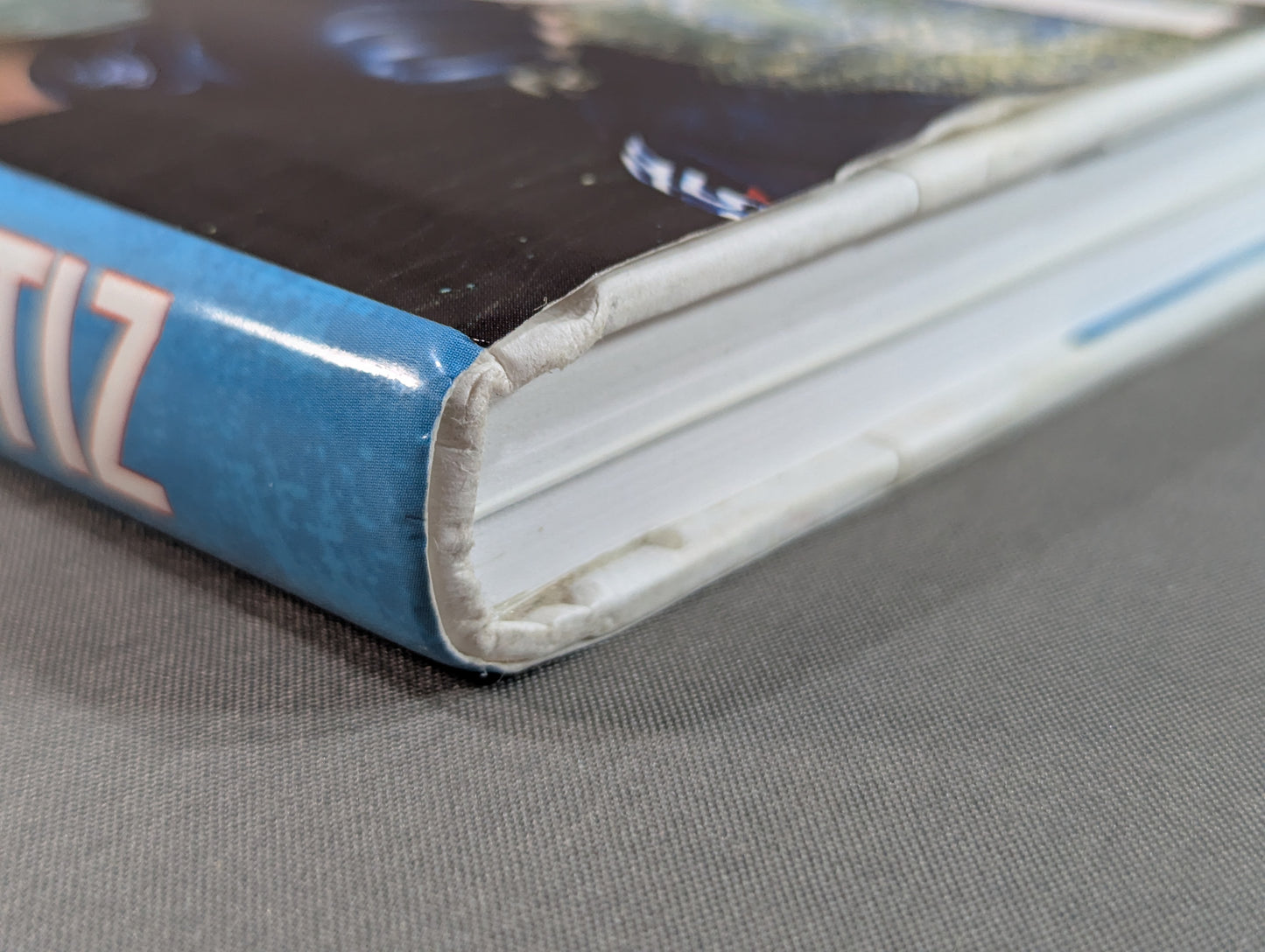 This Is Gonna Hurt : The Life of a Mixed Martial Arts Champion