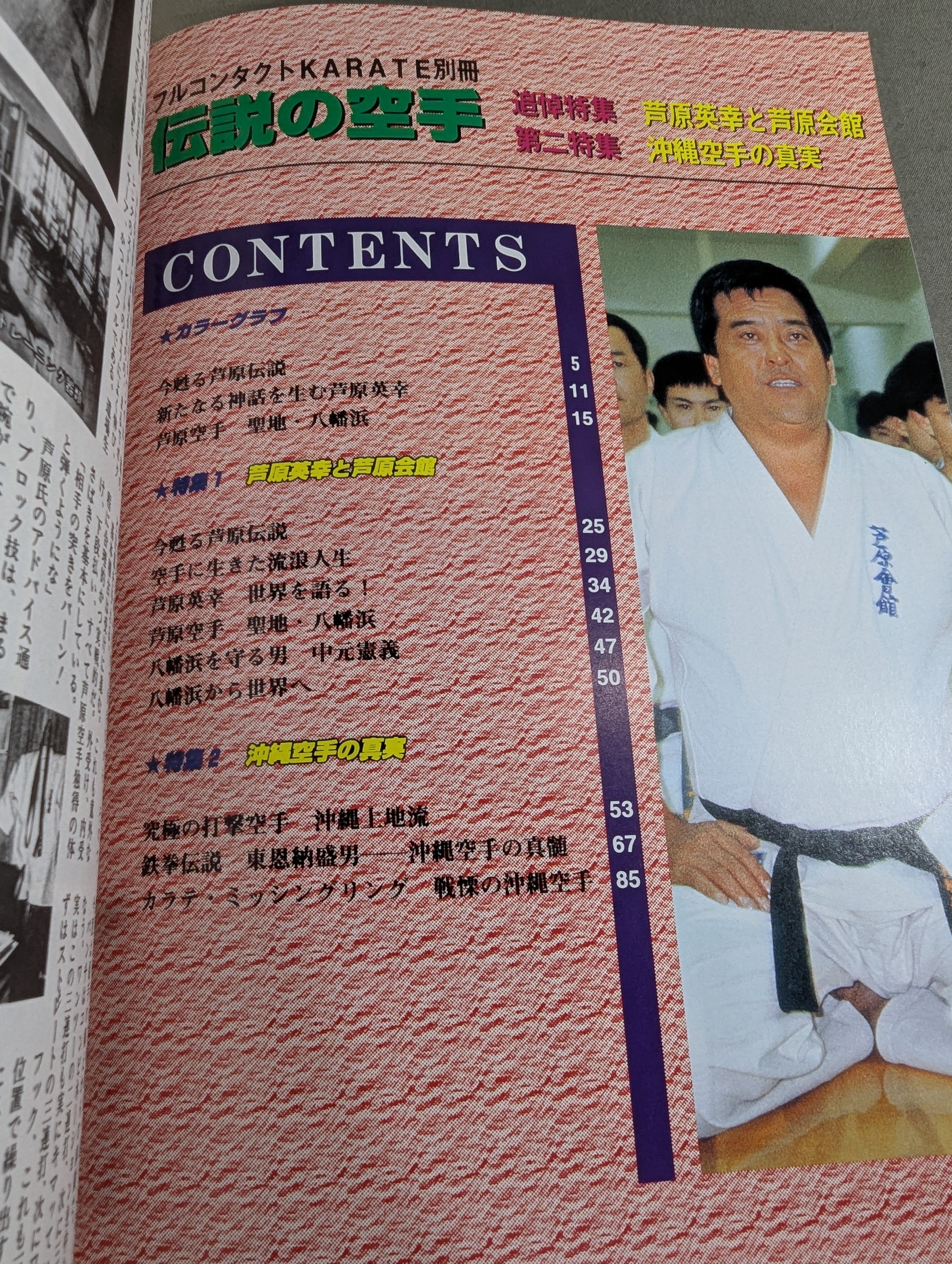 伝説の空手 芦原英幸と芦原会館 – 闘道館