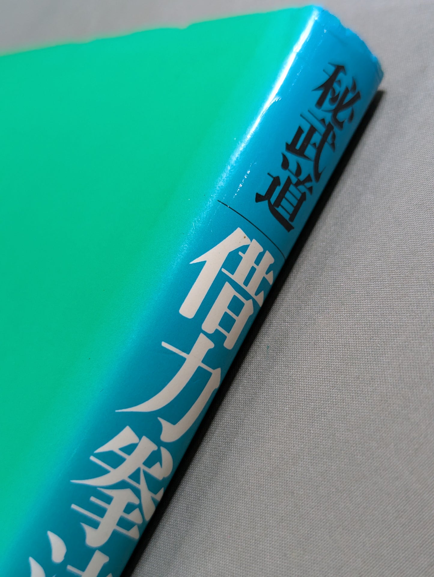 Secret martial arts borrowed power kenpo Its ideas and techniques