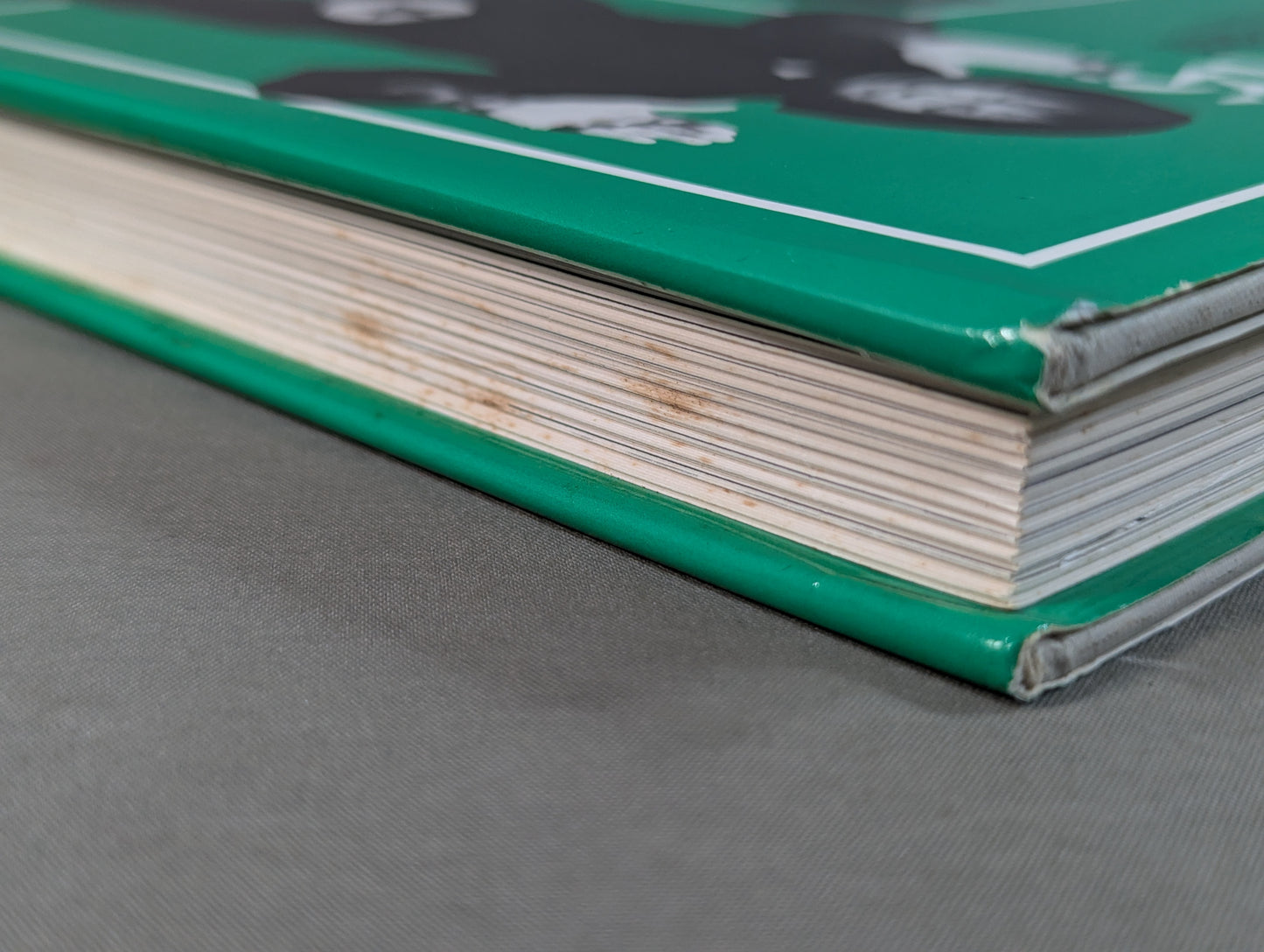 Secret martial arts borrowed power kenpo Its ideas and techniques