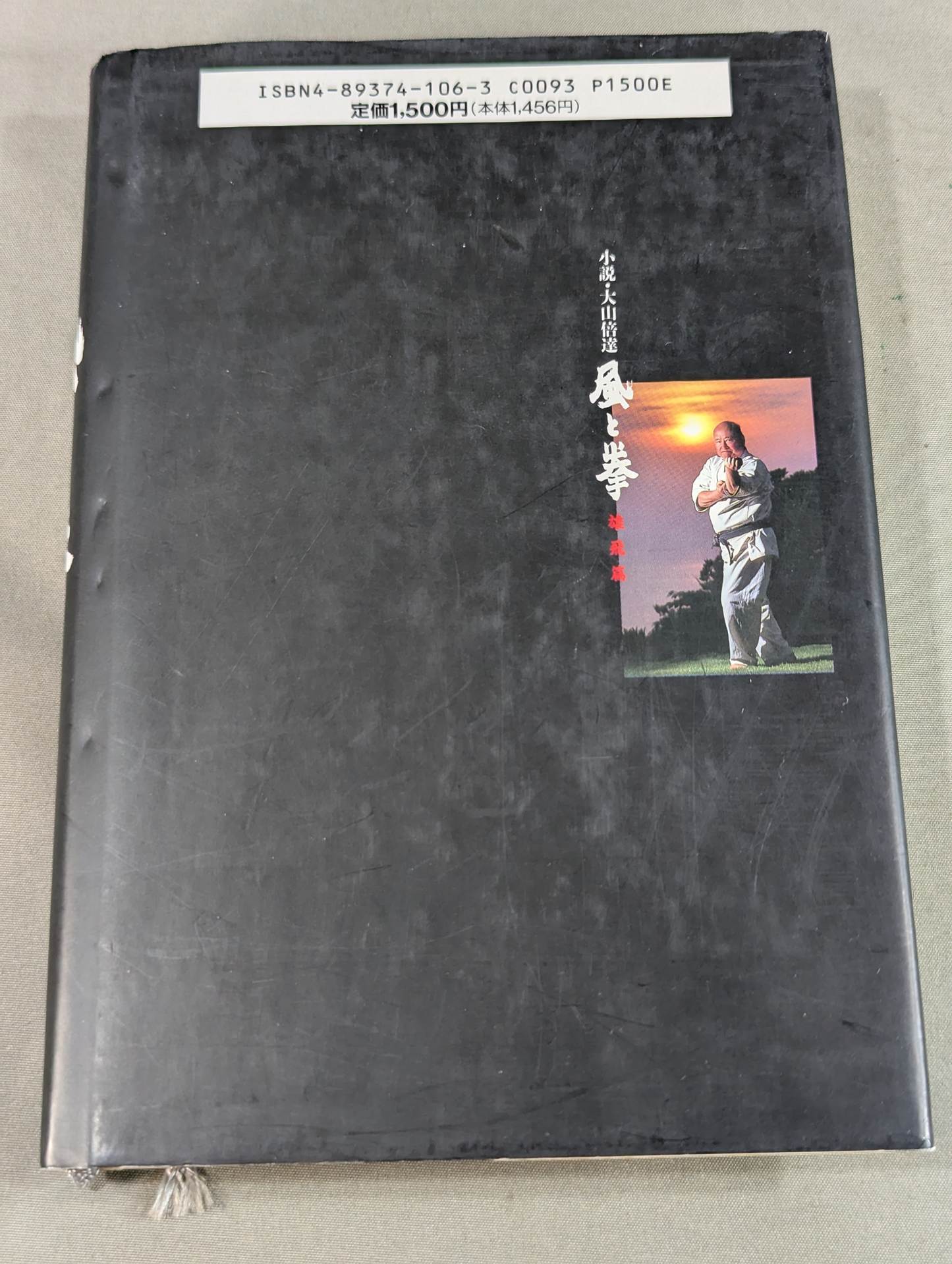 小説・大山倍達 風と拳 雄飛篇