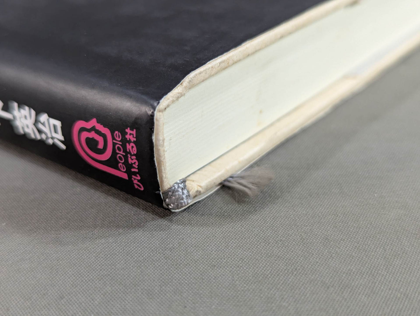 小説・大山倍達 風と拳 雄飛篇