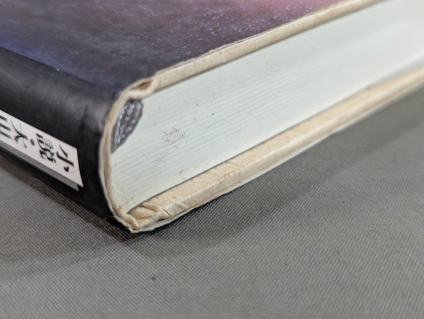 小説・大山倍達 風と拳 雄飛篇