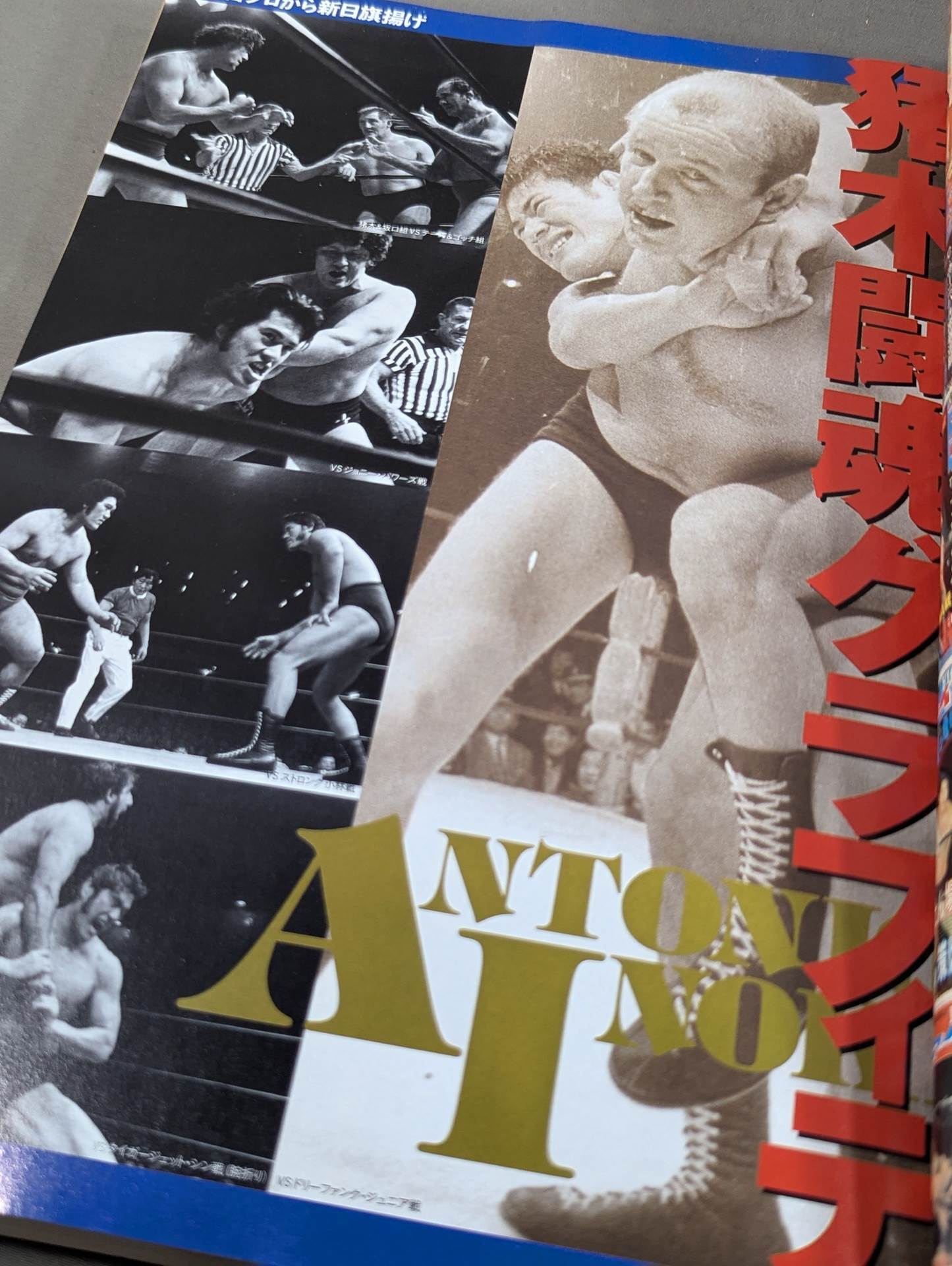 Fight reduced version Antonio Inoki  retirement commemoration