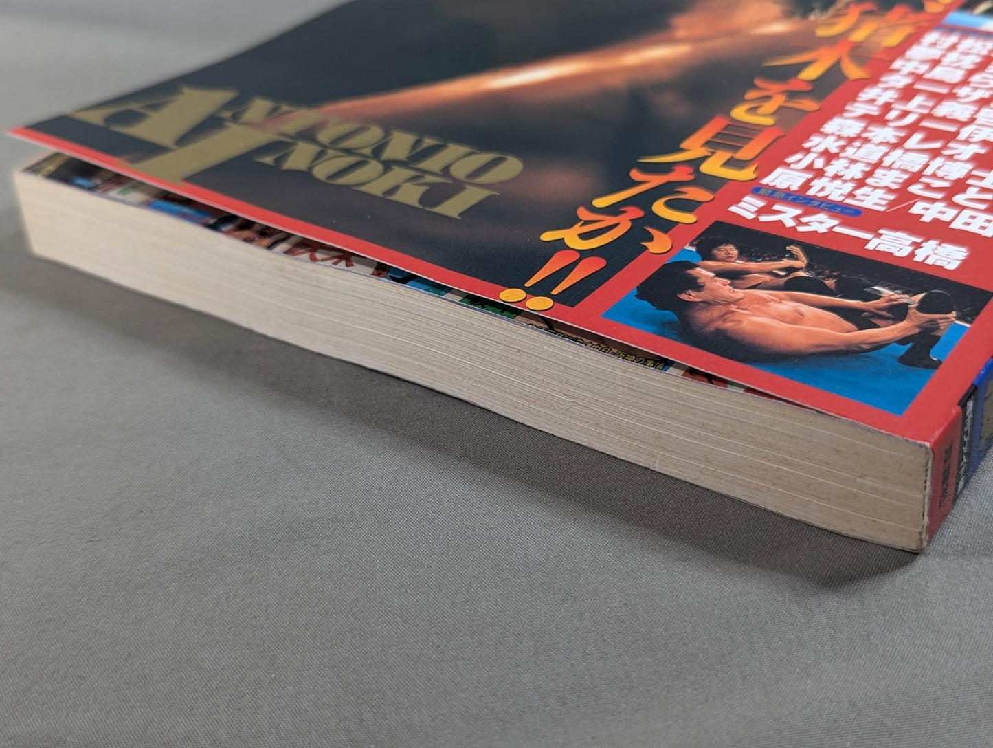 Fight reduced version Antonio Inoki  retirement commemoration
