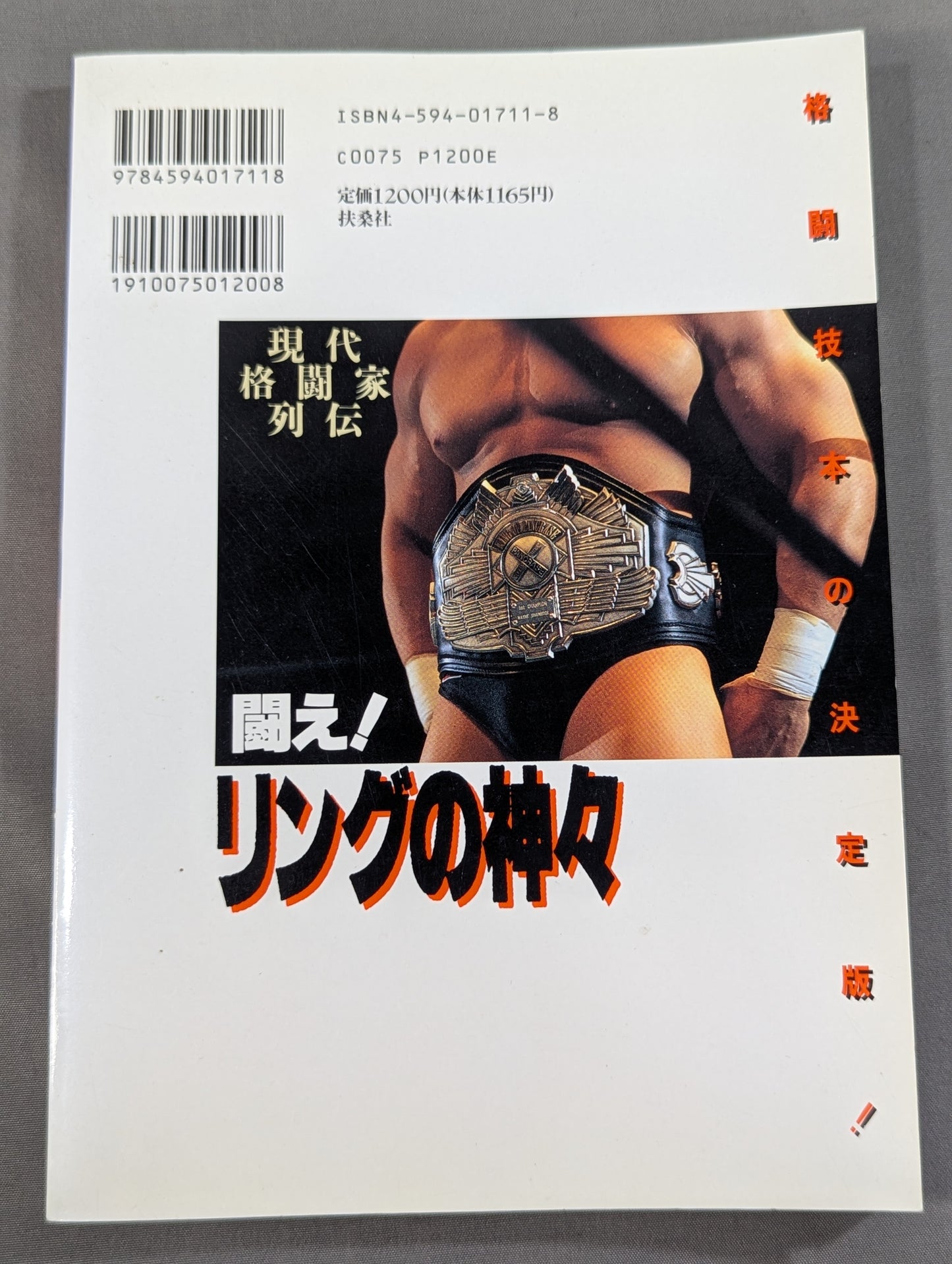 Fight! Gods of the Ring: Biographies of Modern Martial Artists