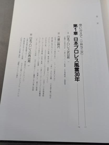 日本プロレス30年史