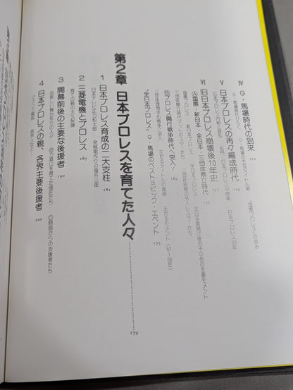日本プロレス30年史