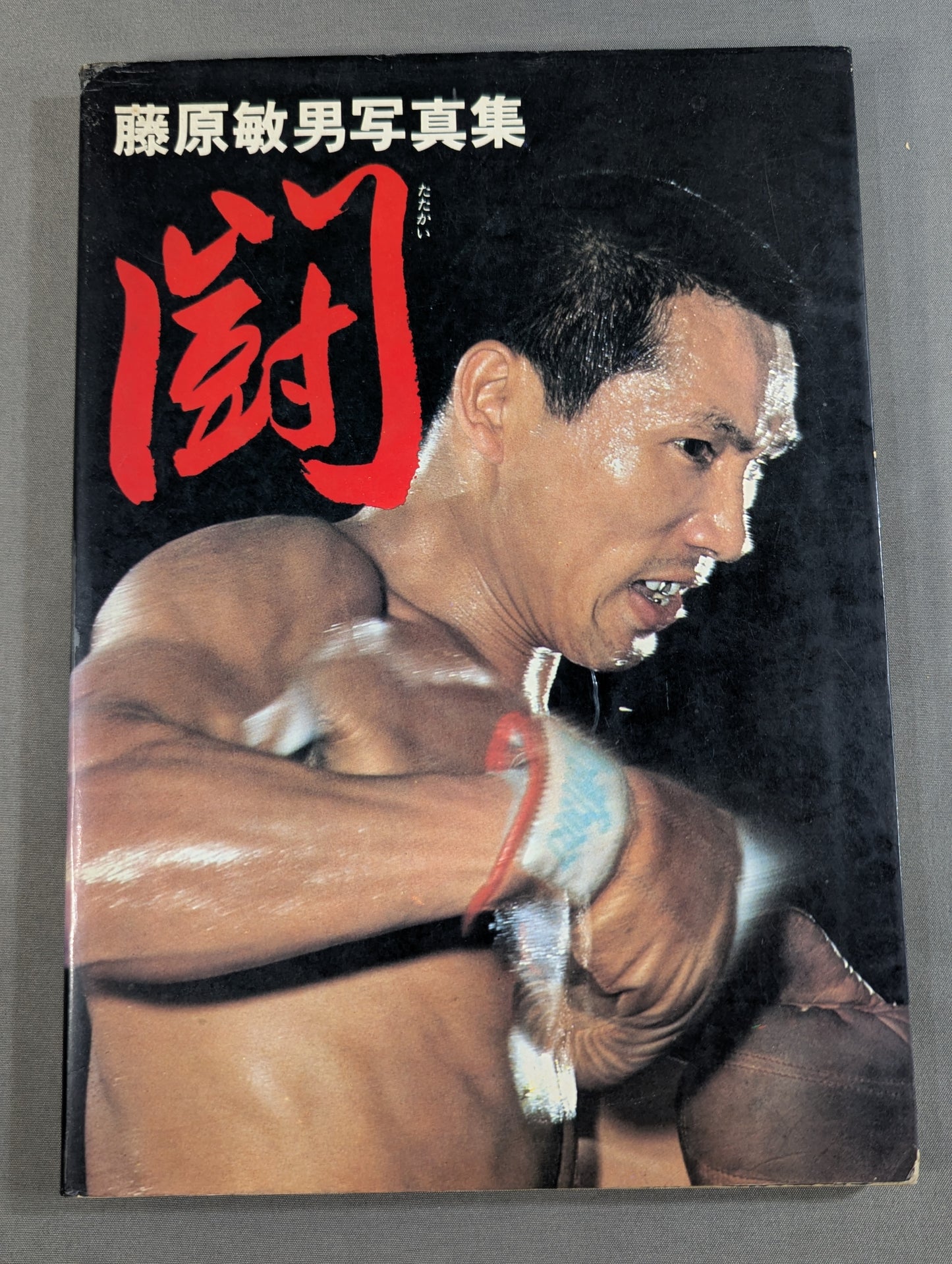 藤原敏男 写真集 闘(たたかい)