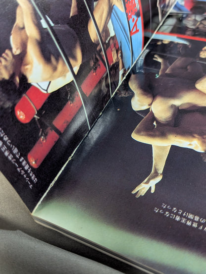 1945～1985激動のスポーツ40年史⑥ プロレス 秘蔵写真で綴る激動史