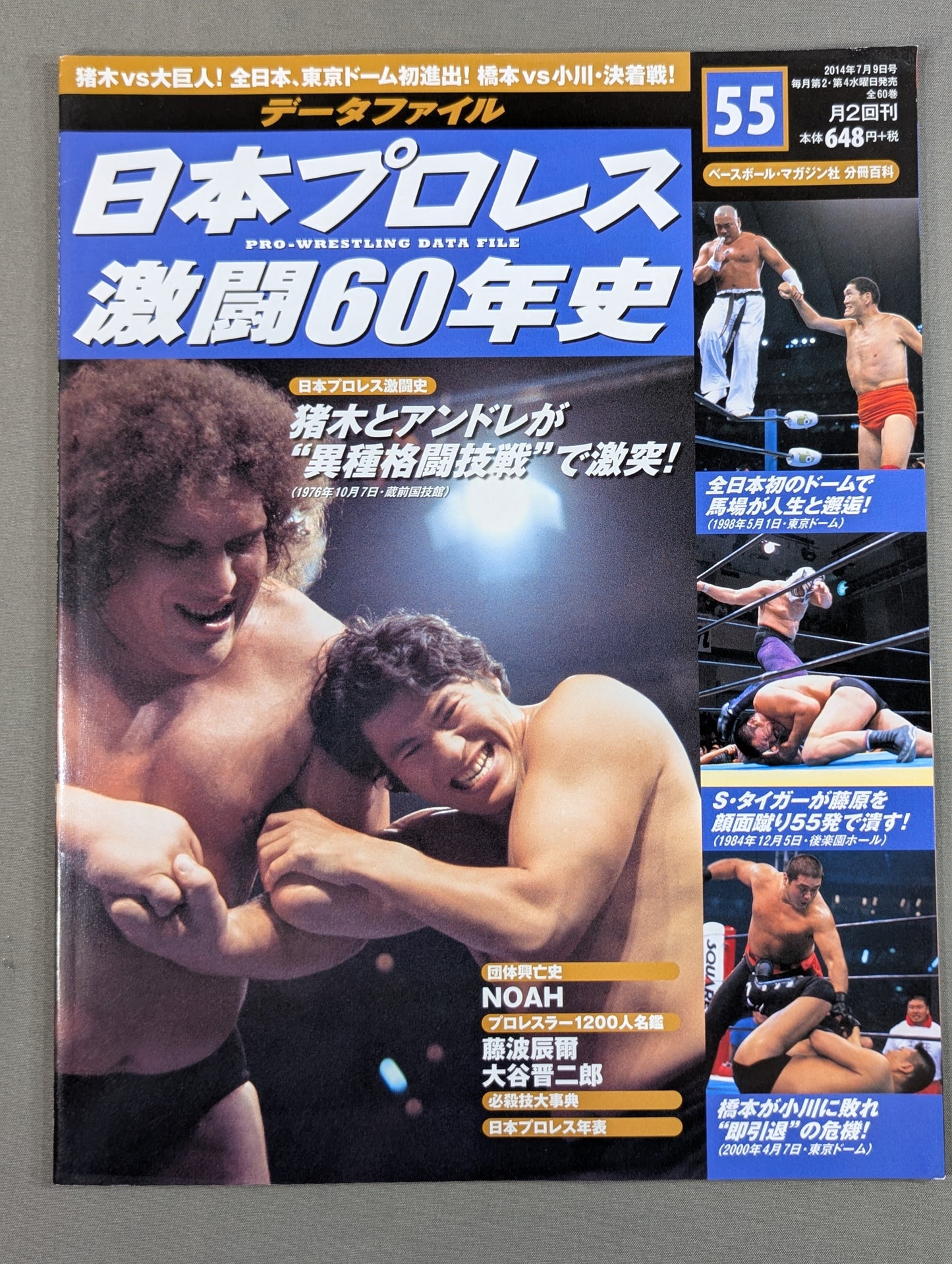 60 Years of Japan Pro Wrestling (55)