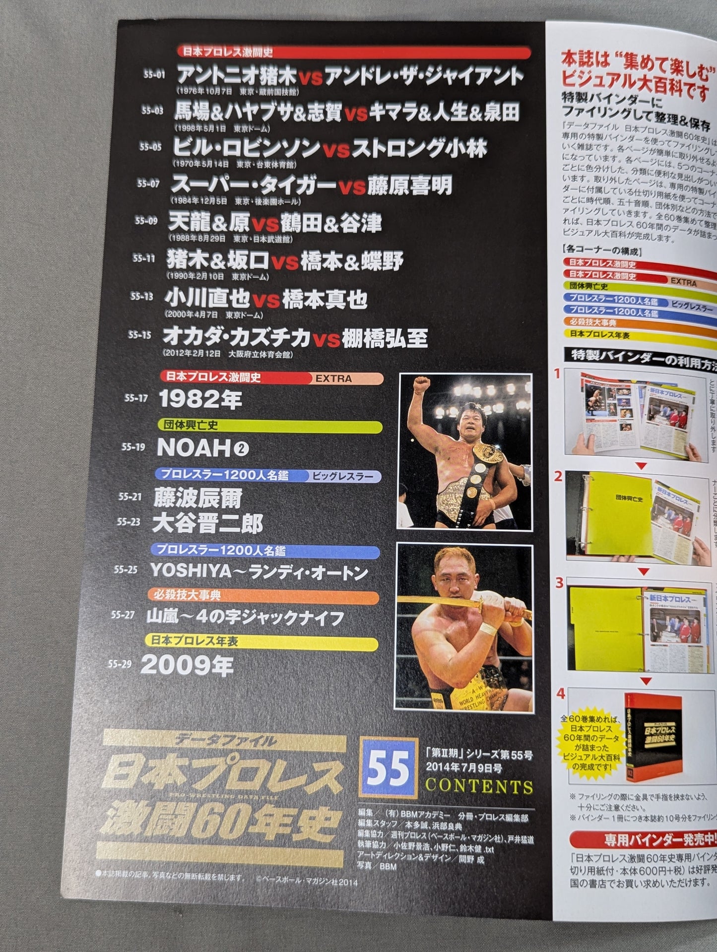 60 Years of Japan Pro Wrestling (55)