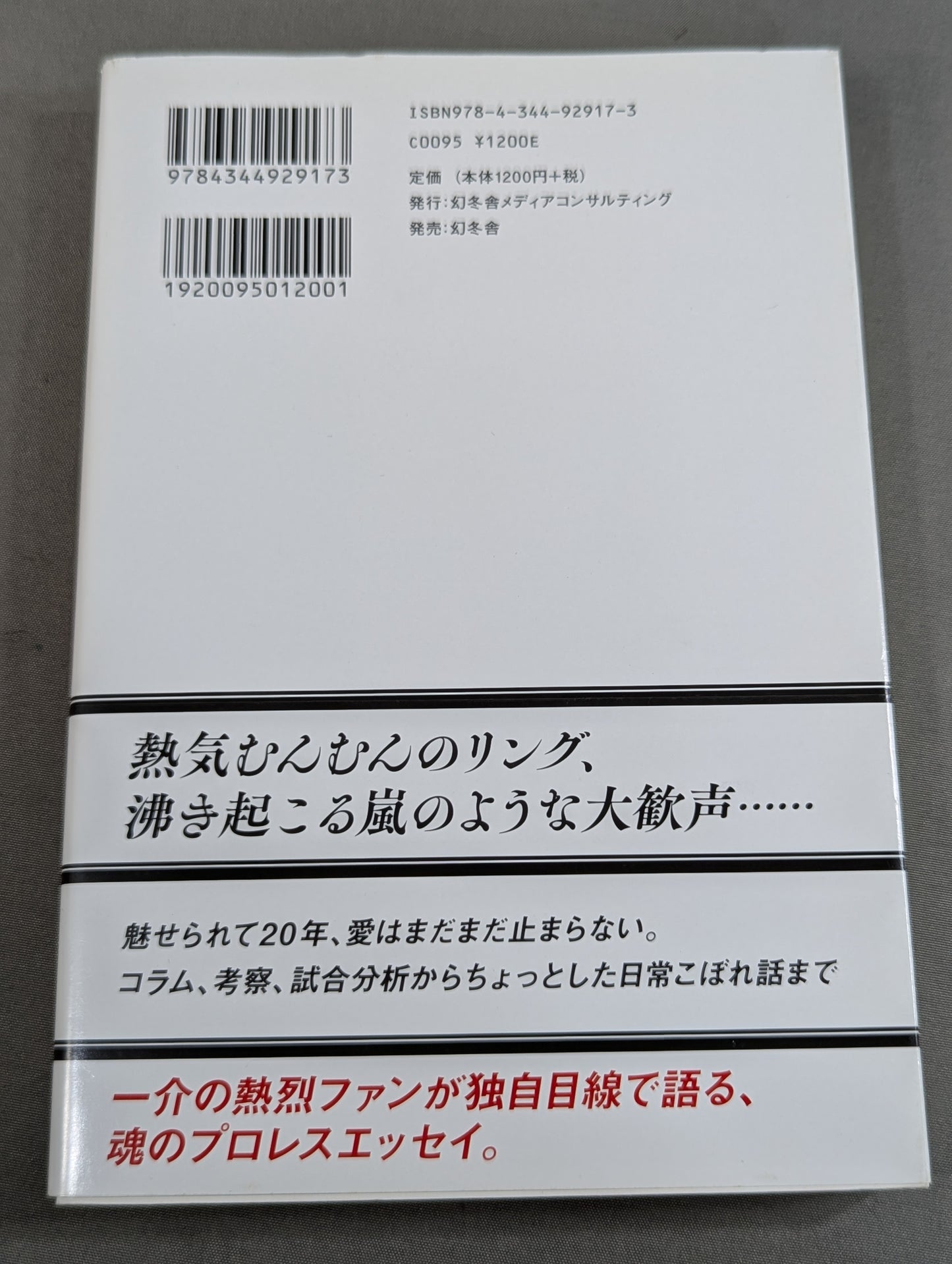 アイディア・プロレスコラムDX(デラックス)