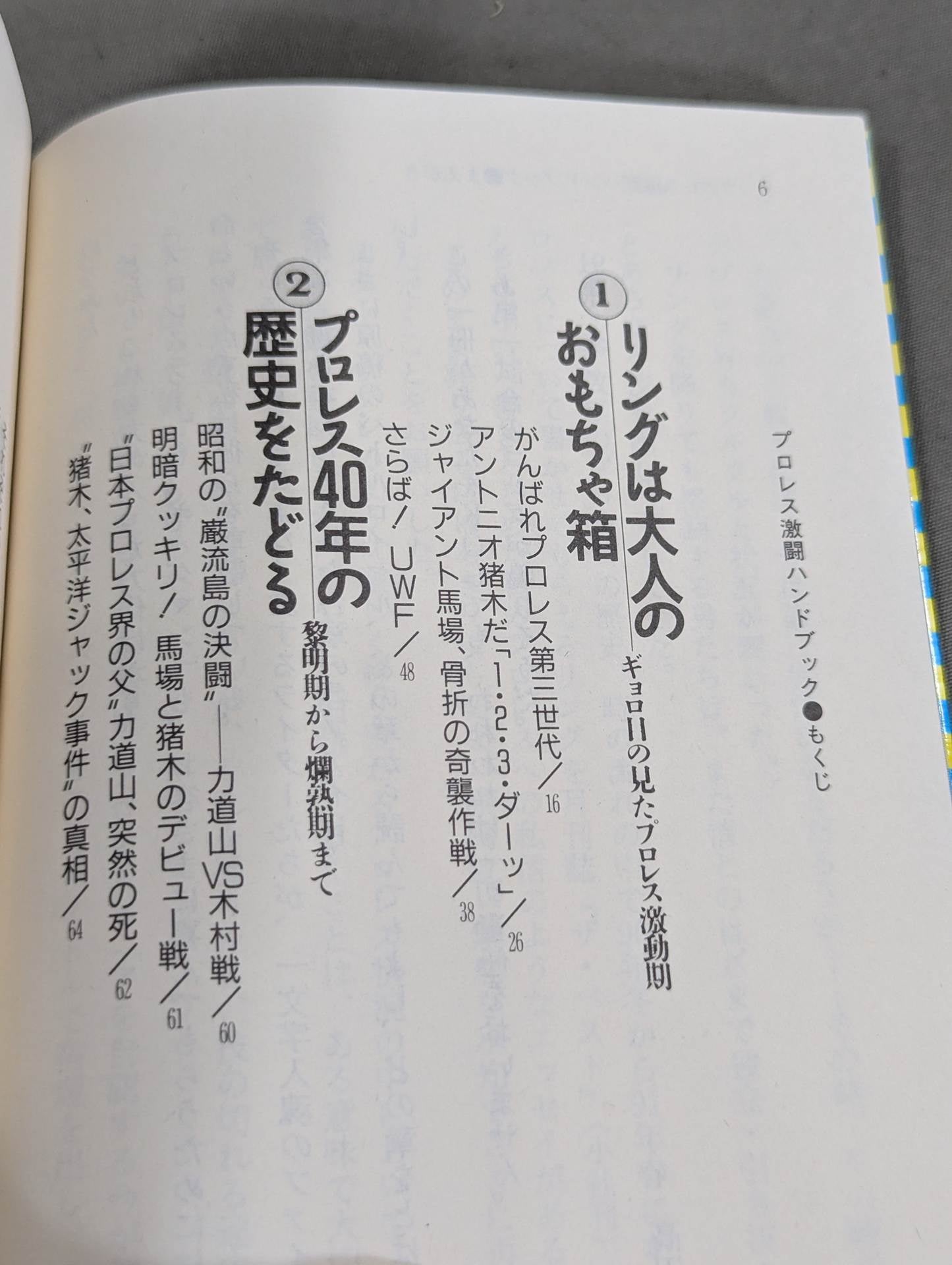 完全保存版 プロレス激闘ハンドブック 燃える男たちの全記録