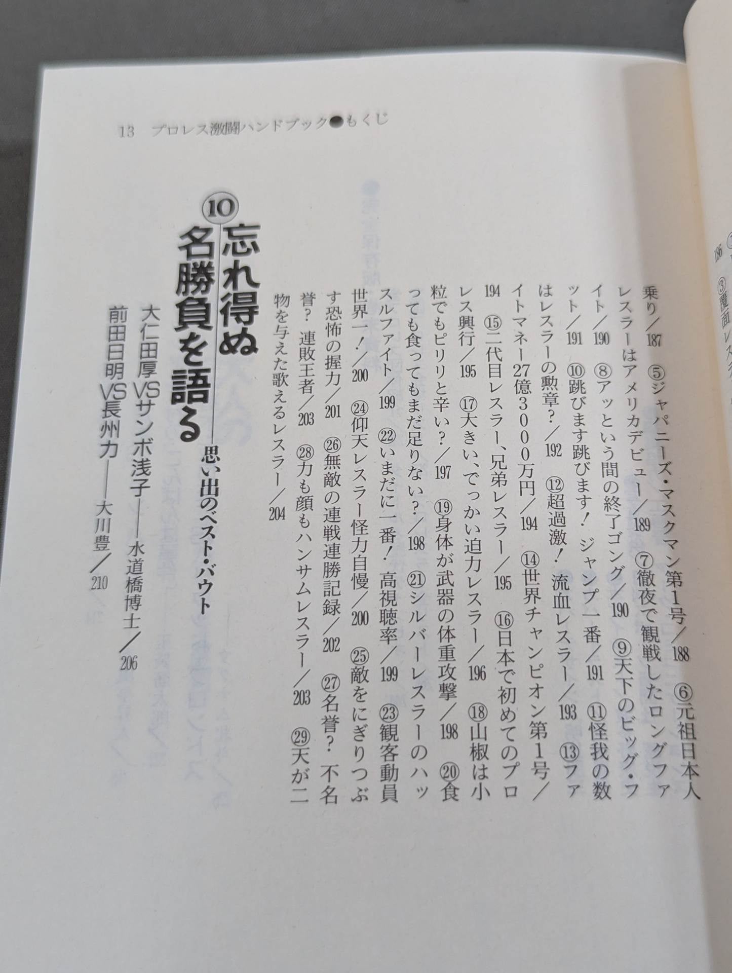 完全保存版 プロレス激闘ハンドブック 燃える男たちの全記録