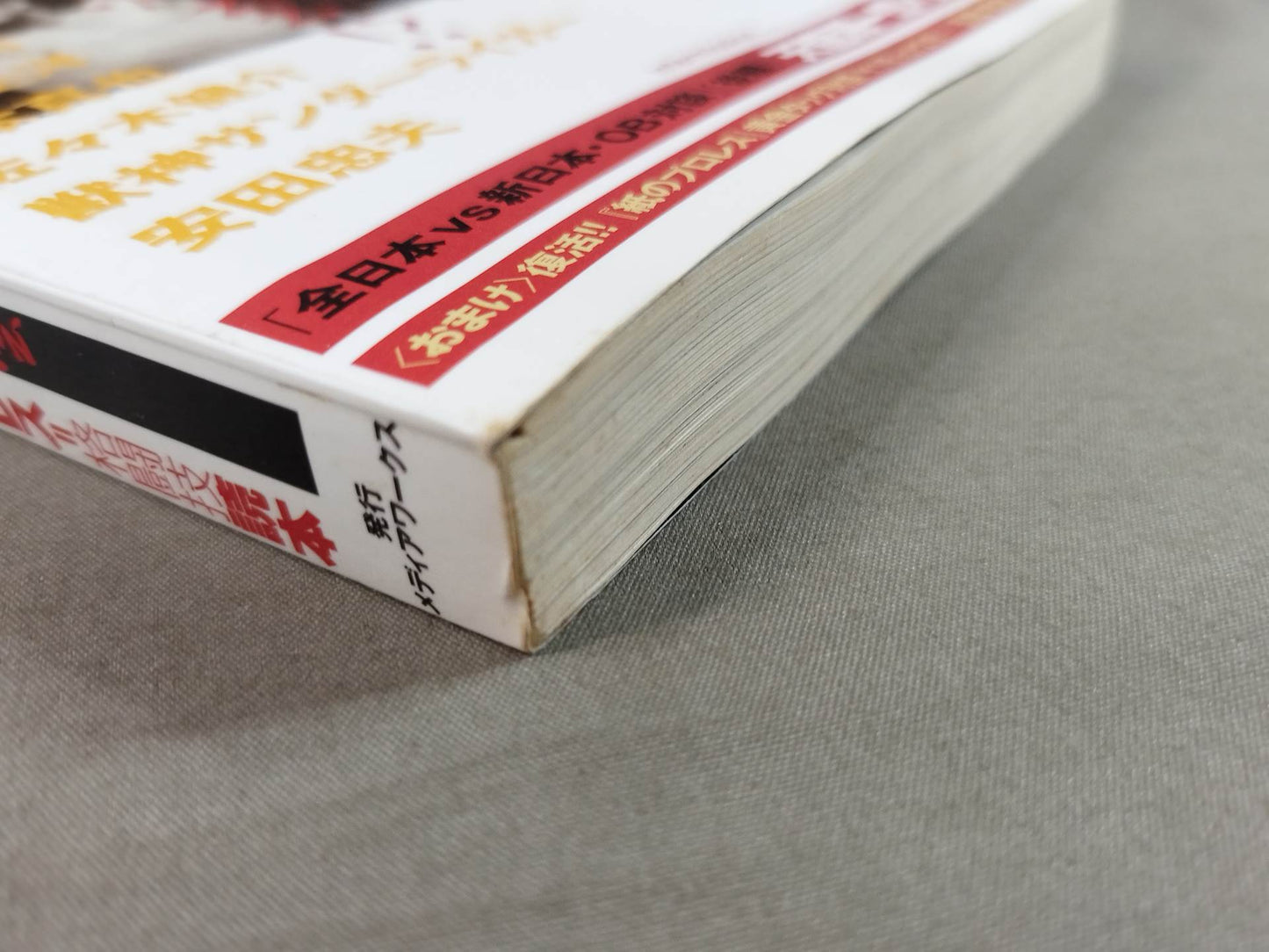 Cross Game All Japan×New Japan Pro Wrestling  Wind and Cloud Pro Wrestling  = Martial Arts Reading Book
