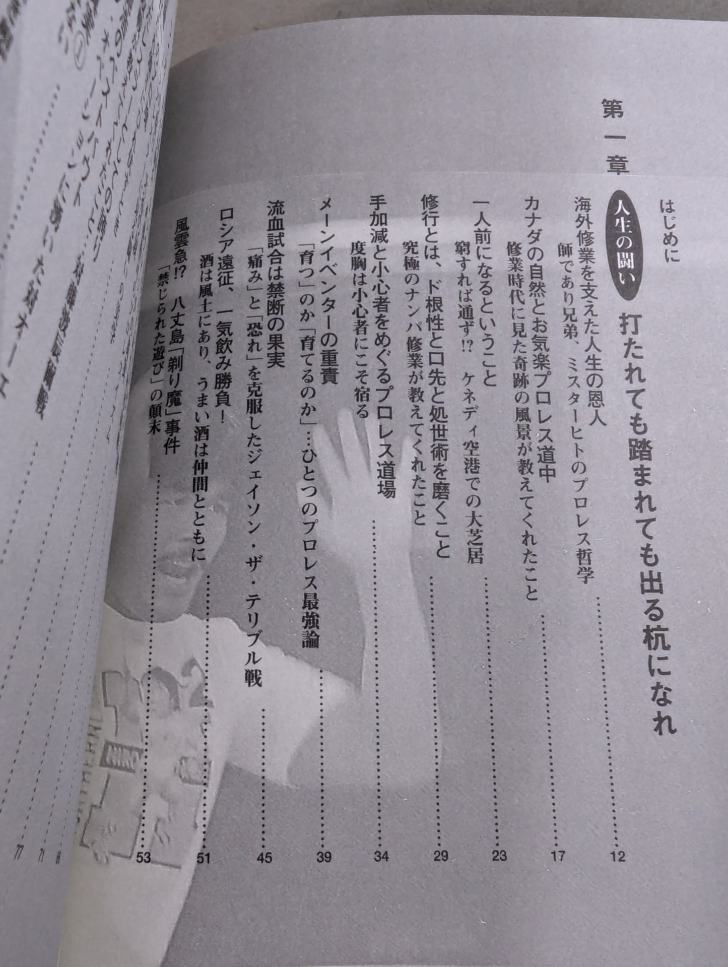 闘いのゴングが聞こえているか プロレスの美学 男の生きざま