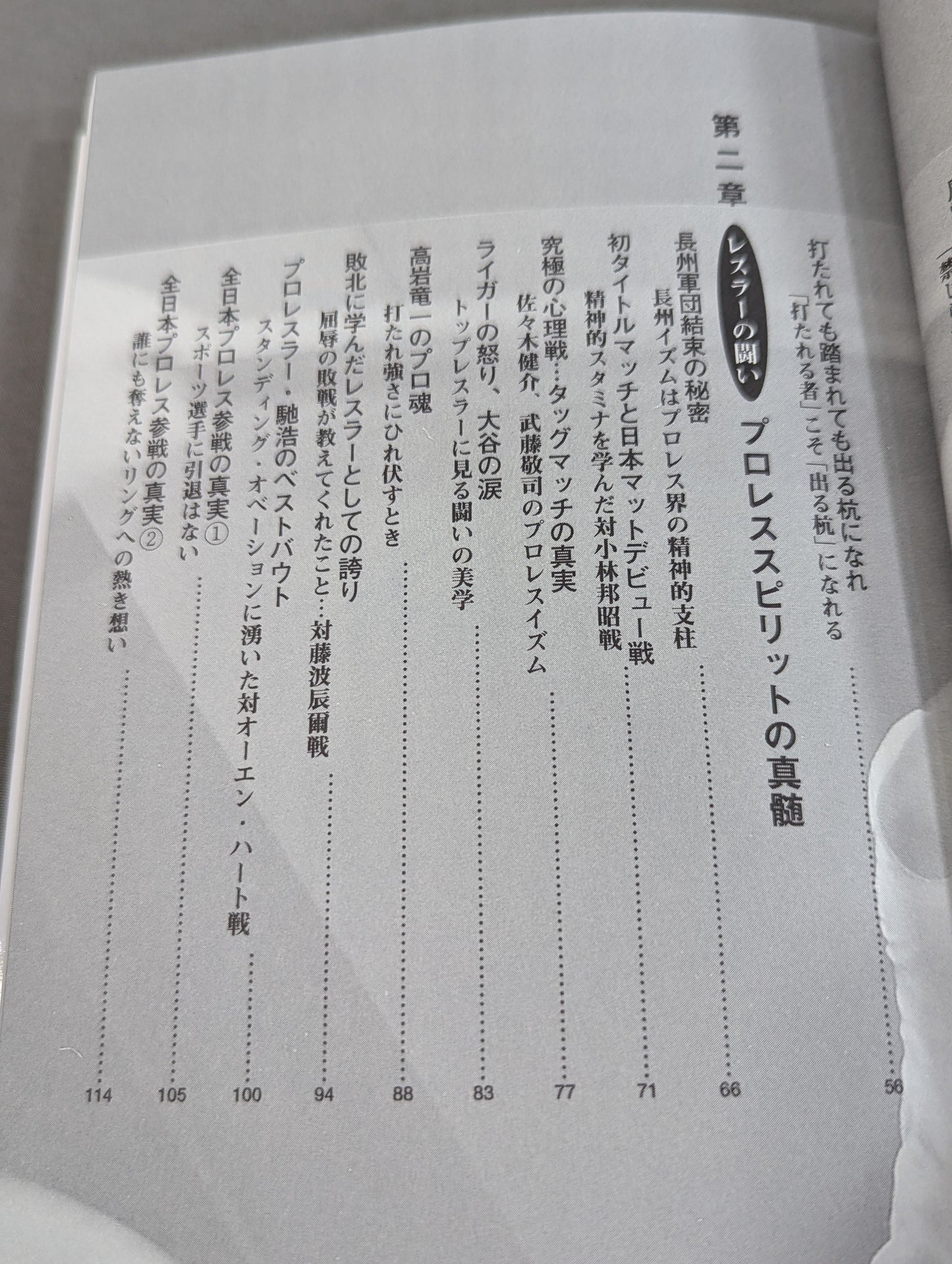 闘いのゴングが聞こえているか プロレスの美学 男の生きざま