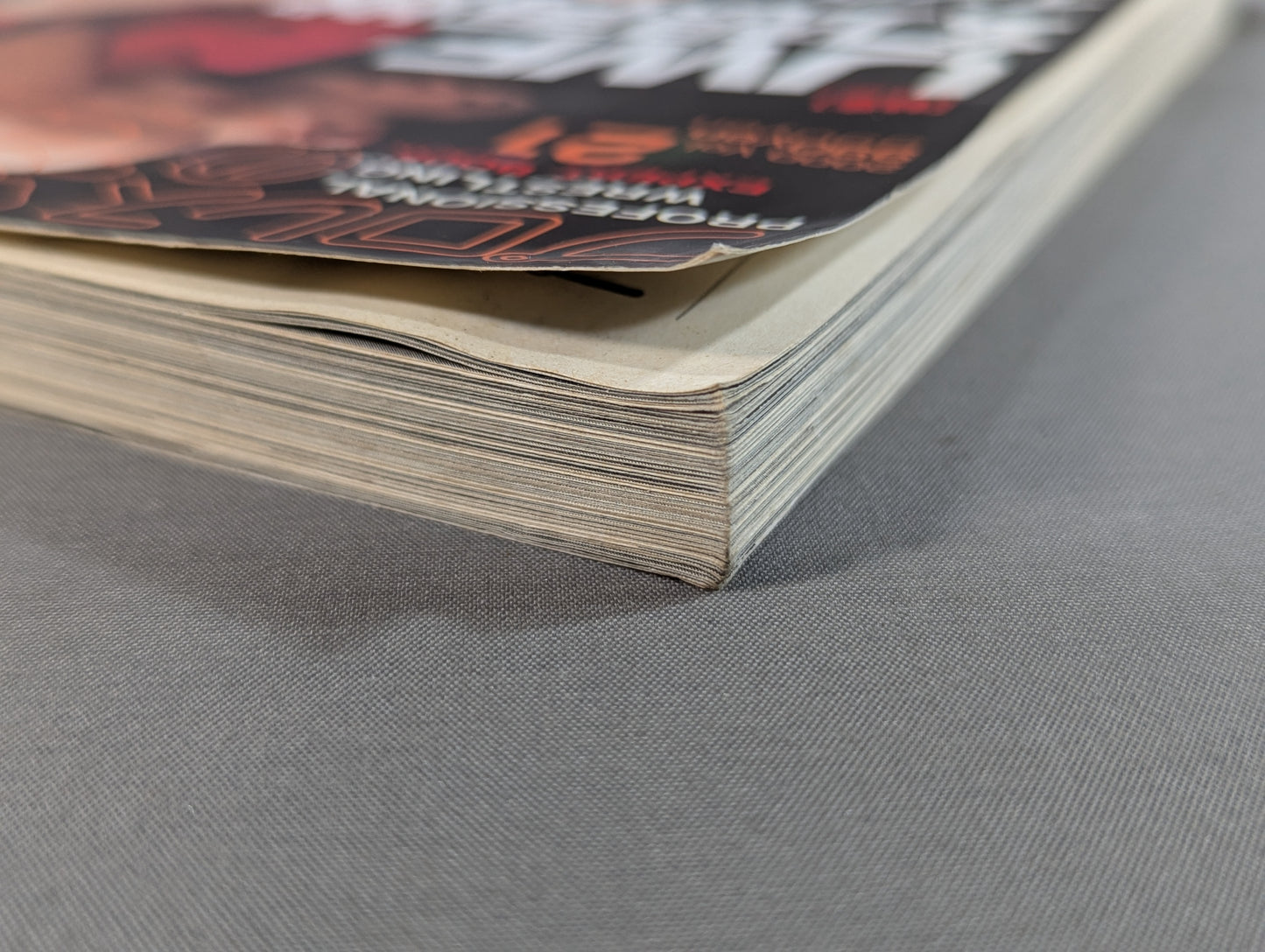 Master of Pro Wrestling Vol.21 UWF Fantasy Rekindled: The Age of the Internet Generation Has Arrived