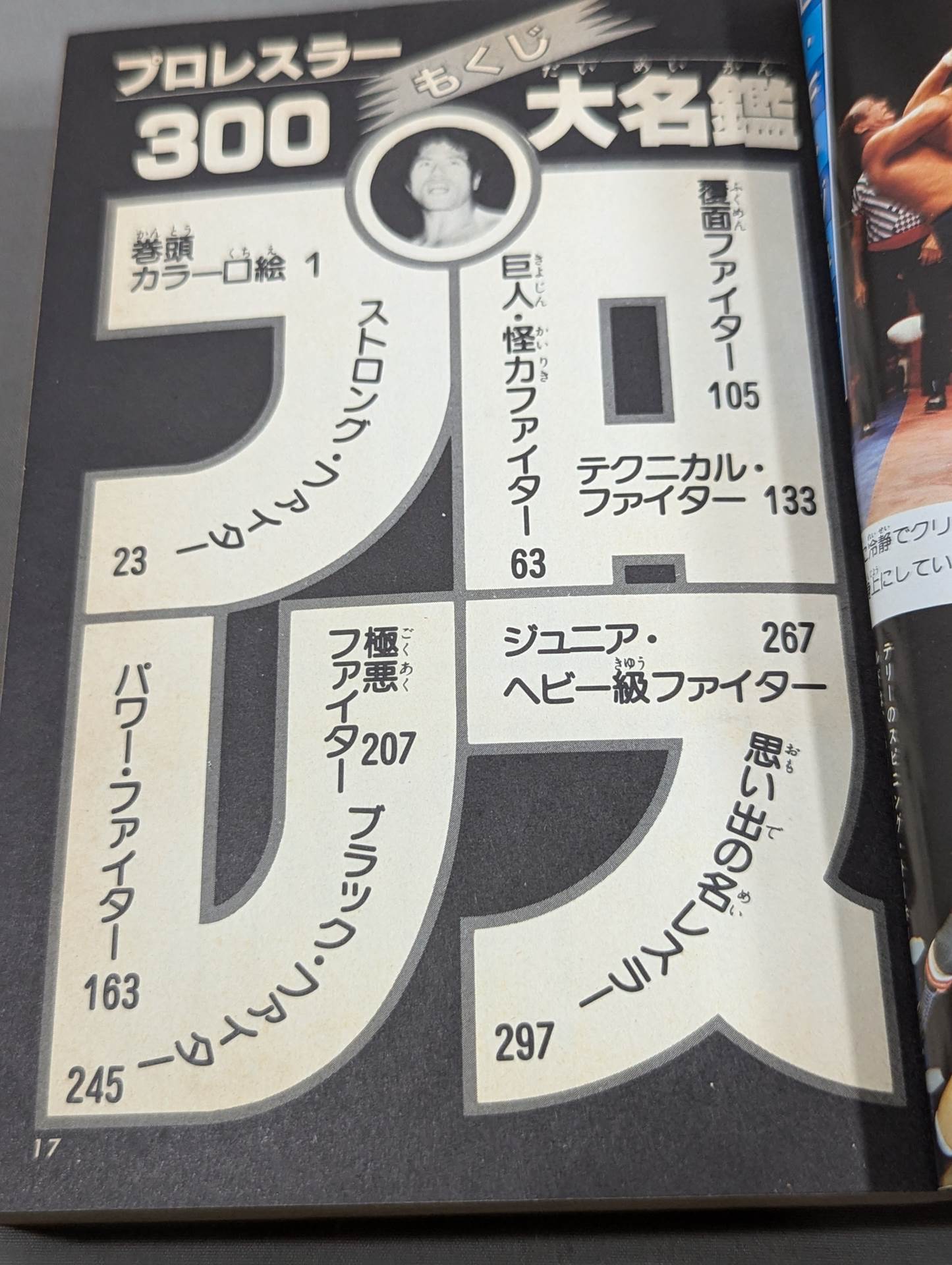 プロレスラー300大名鑑
