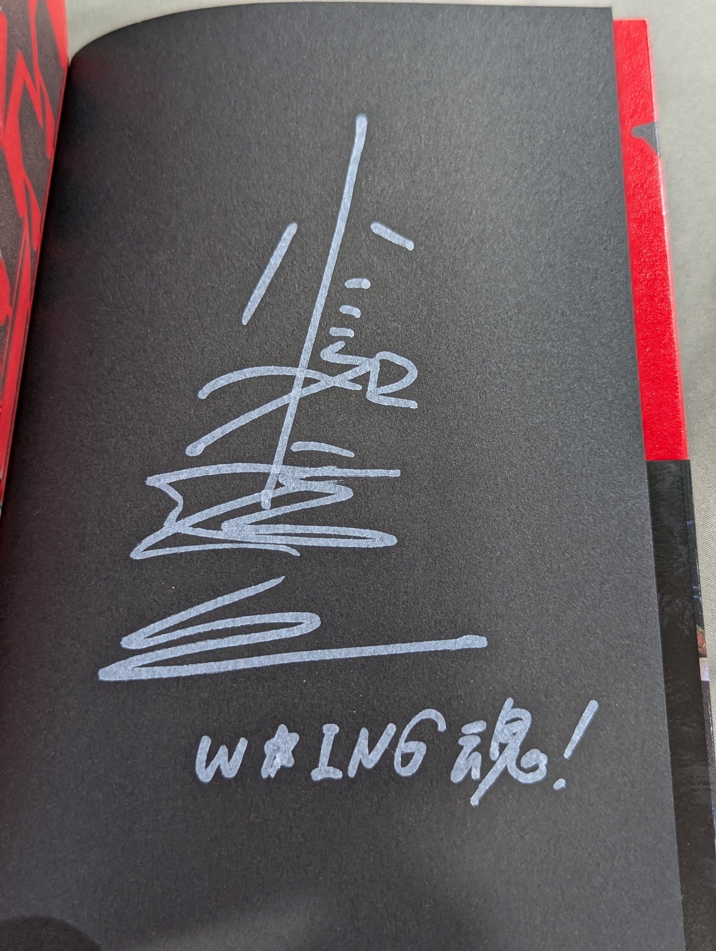 【小島和宏＆茨城清志 直筆サイン入り】W★ING 流れ星伝説 星屑たちのプロレス純情青春録
