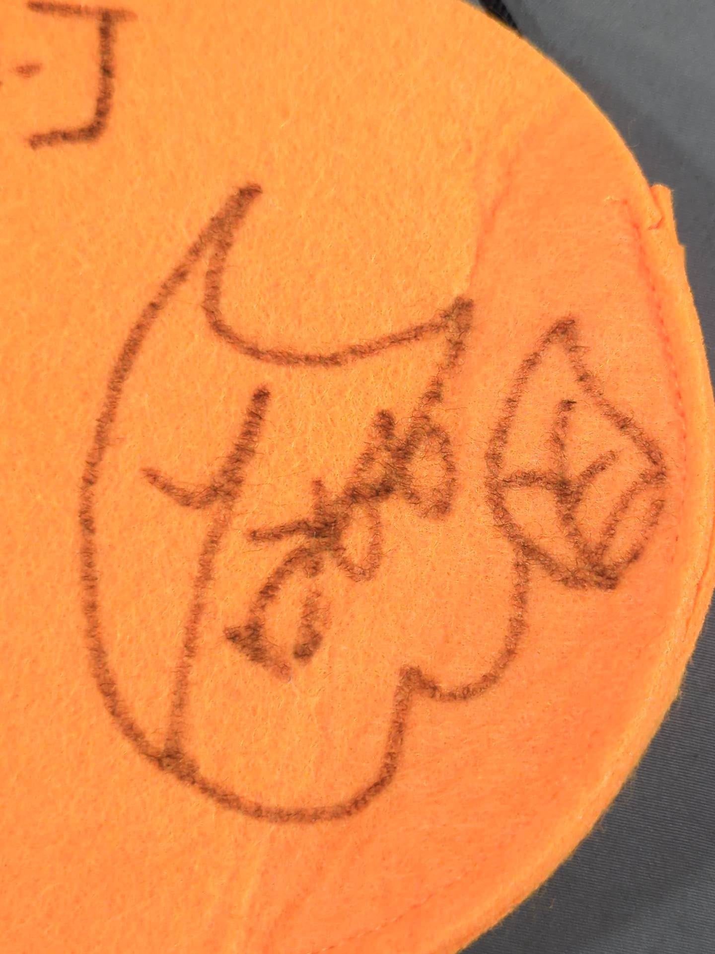 [Command Bolshoi & Tani Momo 2 hand signed autographs ] Halloween felt mini bag
