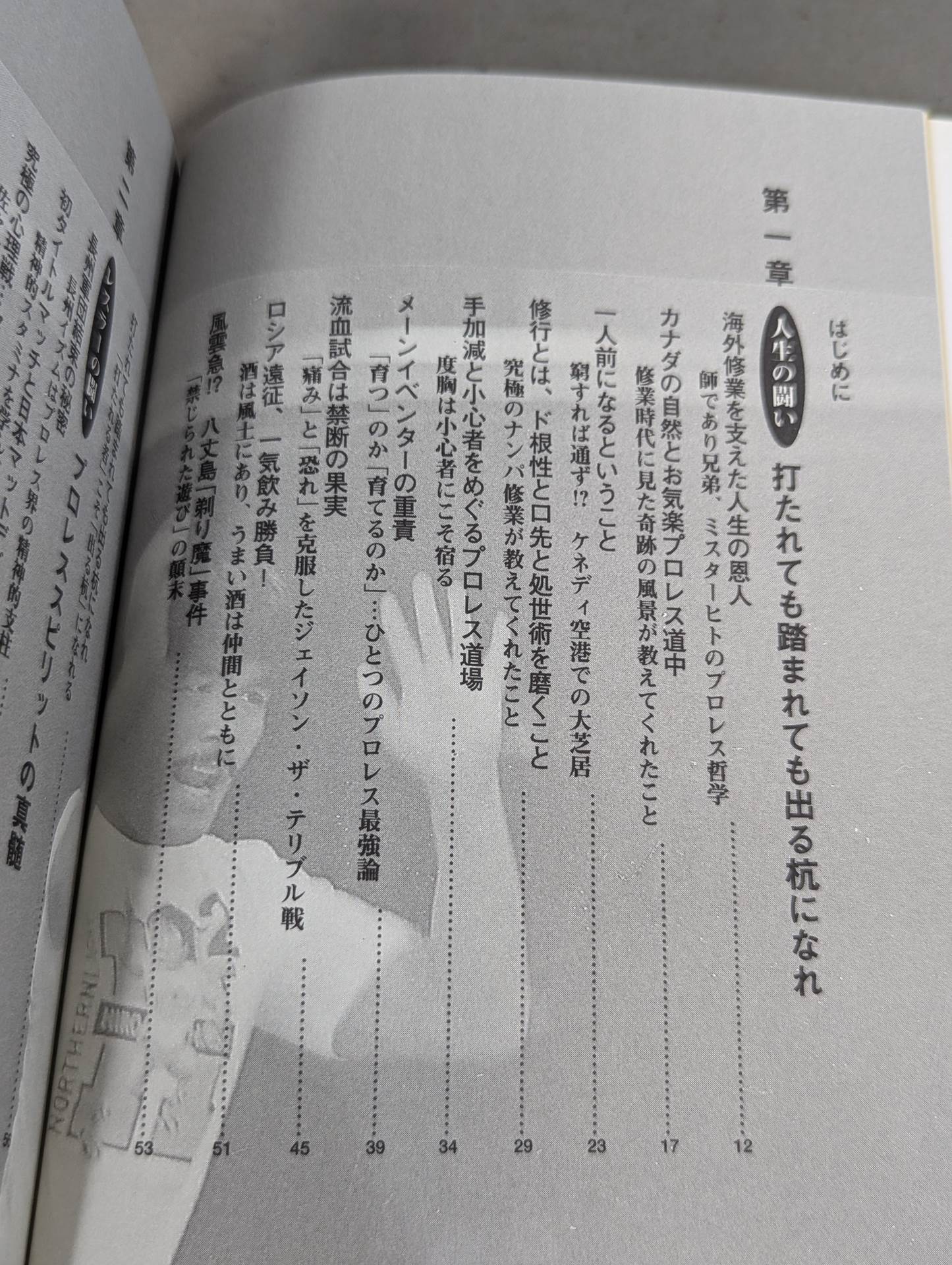 闘いのゴングが聞こえているか プロレスの美学 男の生きざま