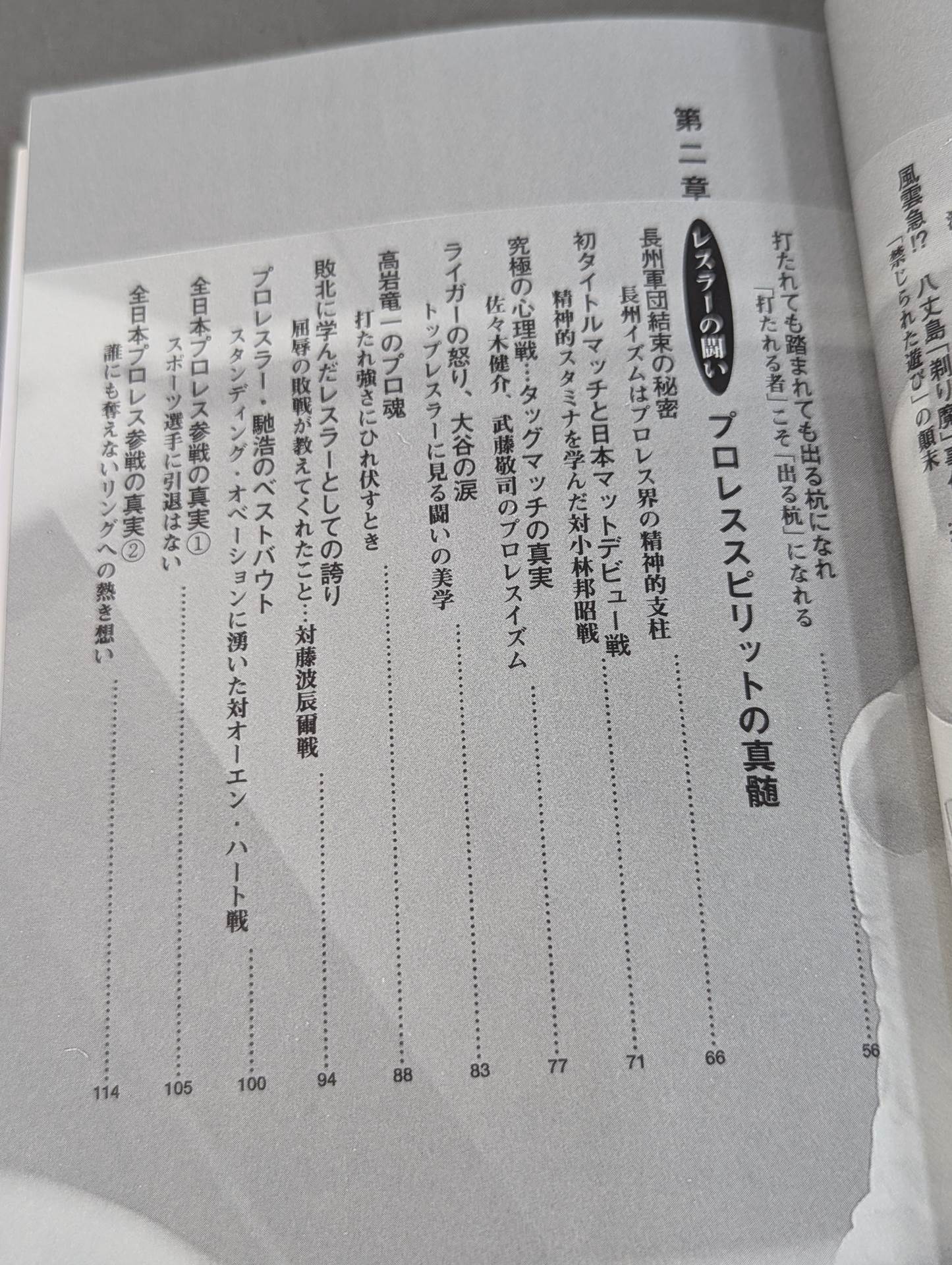闘いのゴングが聞こえているか プロレスの美学 男の生きざま