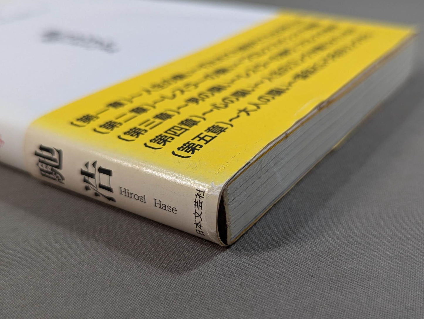 闘いのゴングが聞こえているか プロレスの美学 男の生きざま