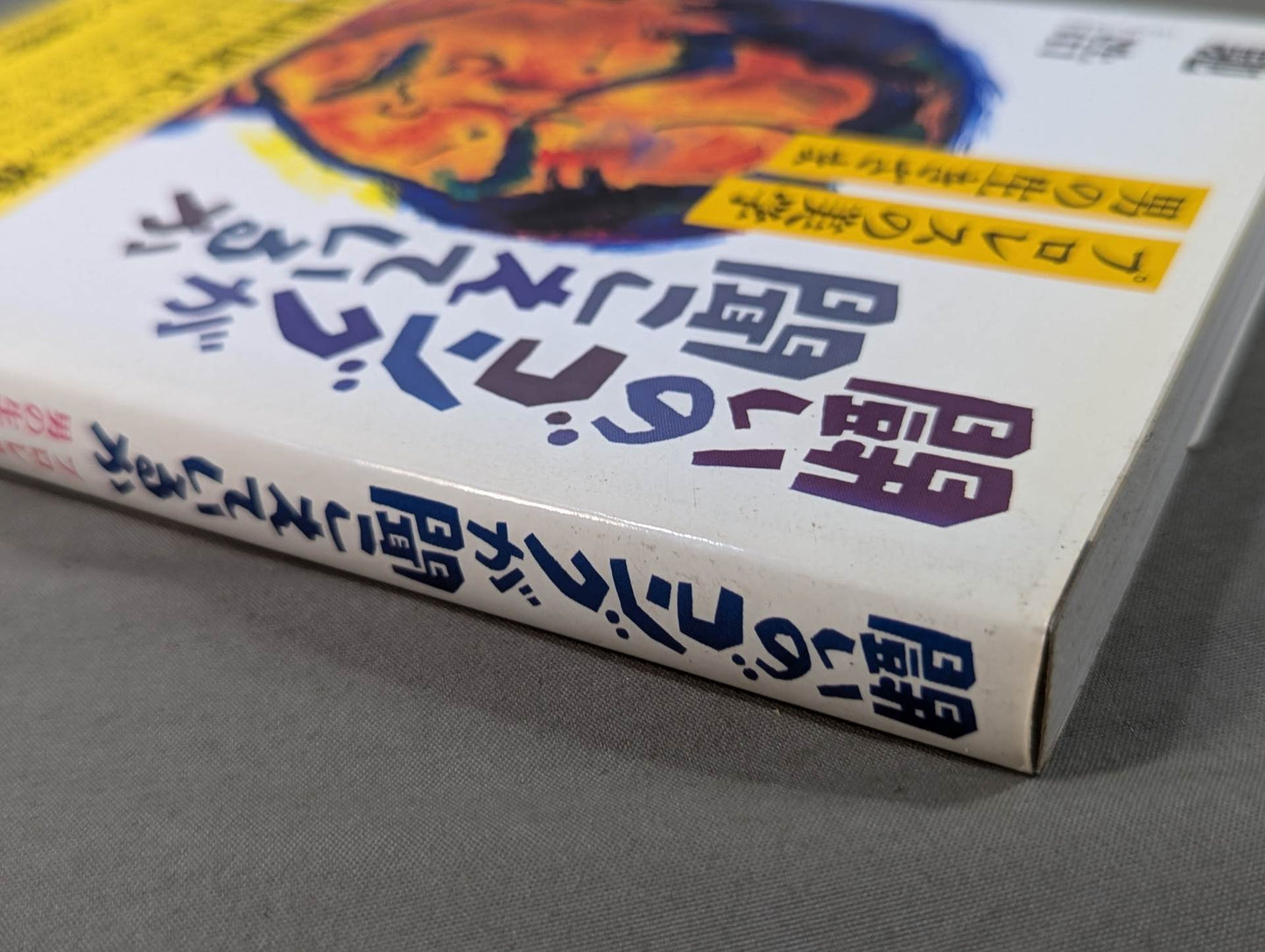 闘いのゴングが聞こえているか プロレスの美学 男の生きざま