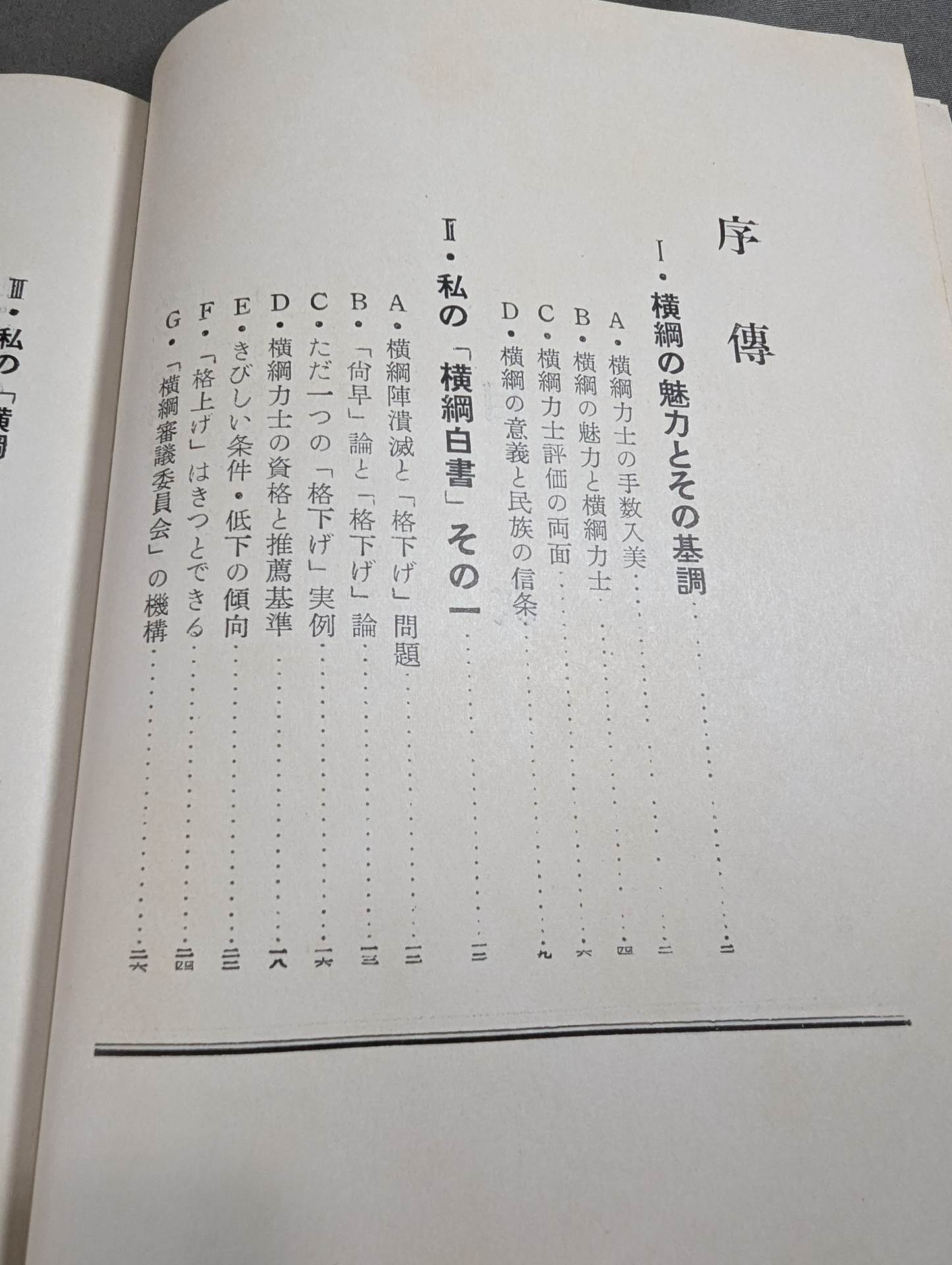 横綱傅(横綱伝)