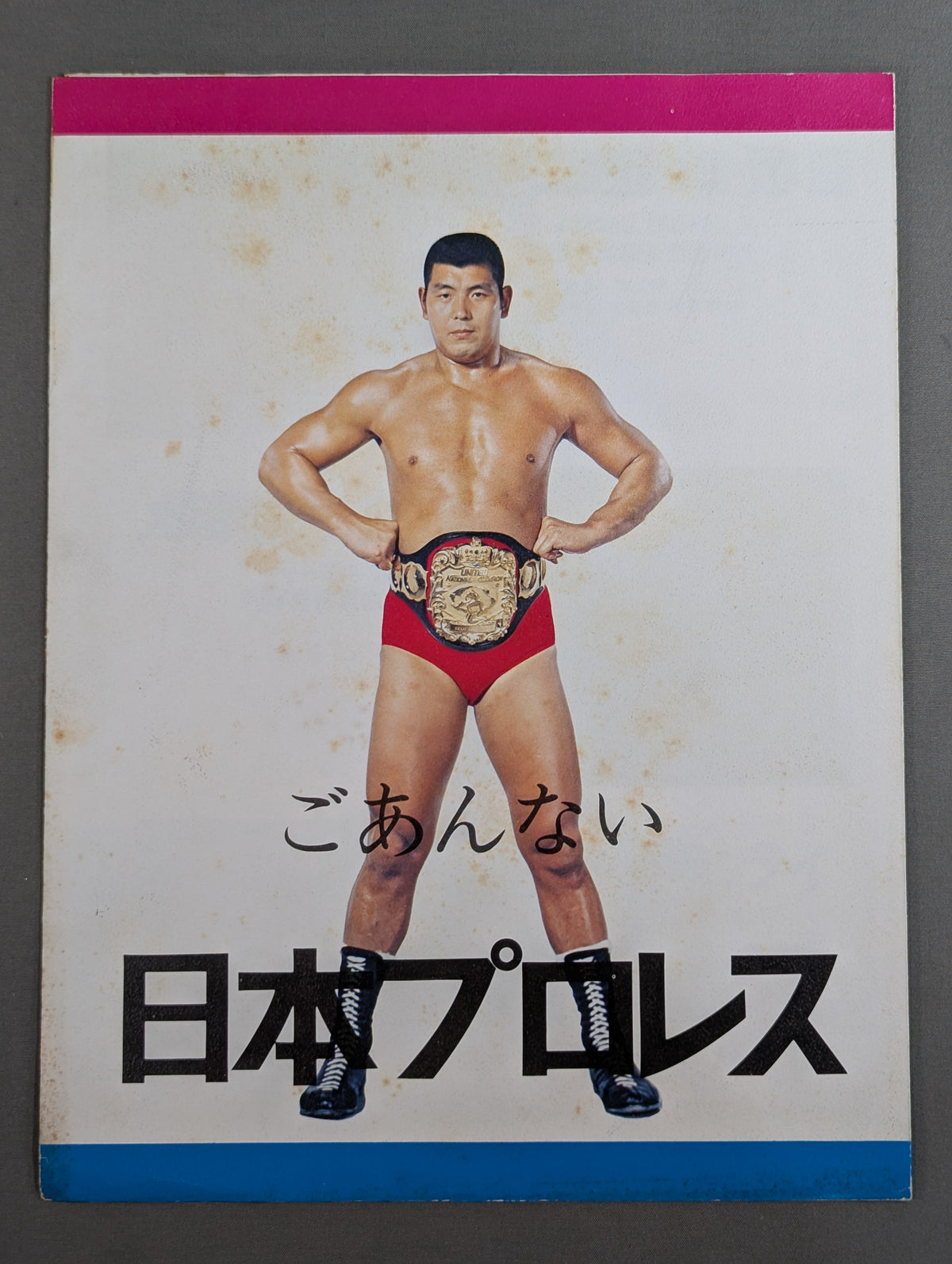 Goannai Japan Pro Wrestling