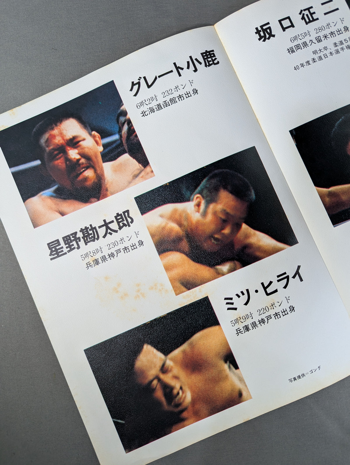 Goannai Japan Pro Wrestling