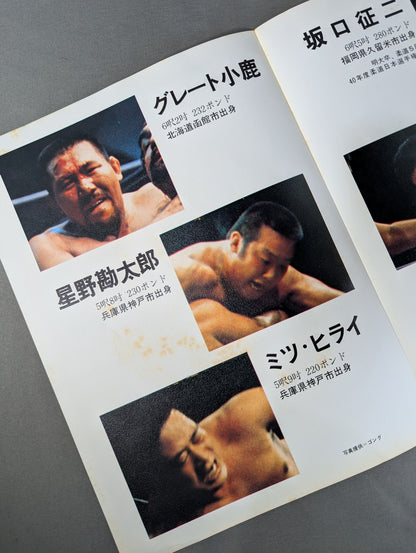 Goannai Japan Pro Wrestling