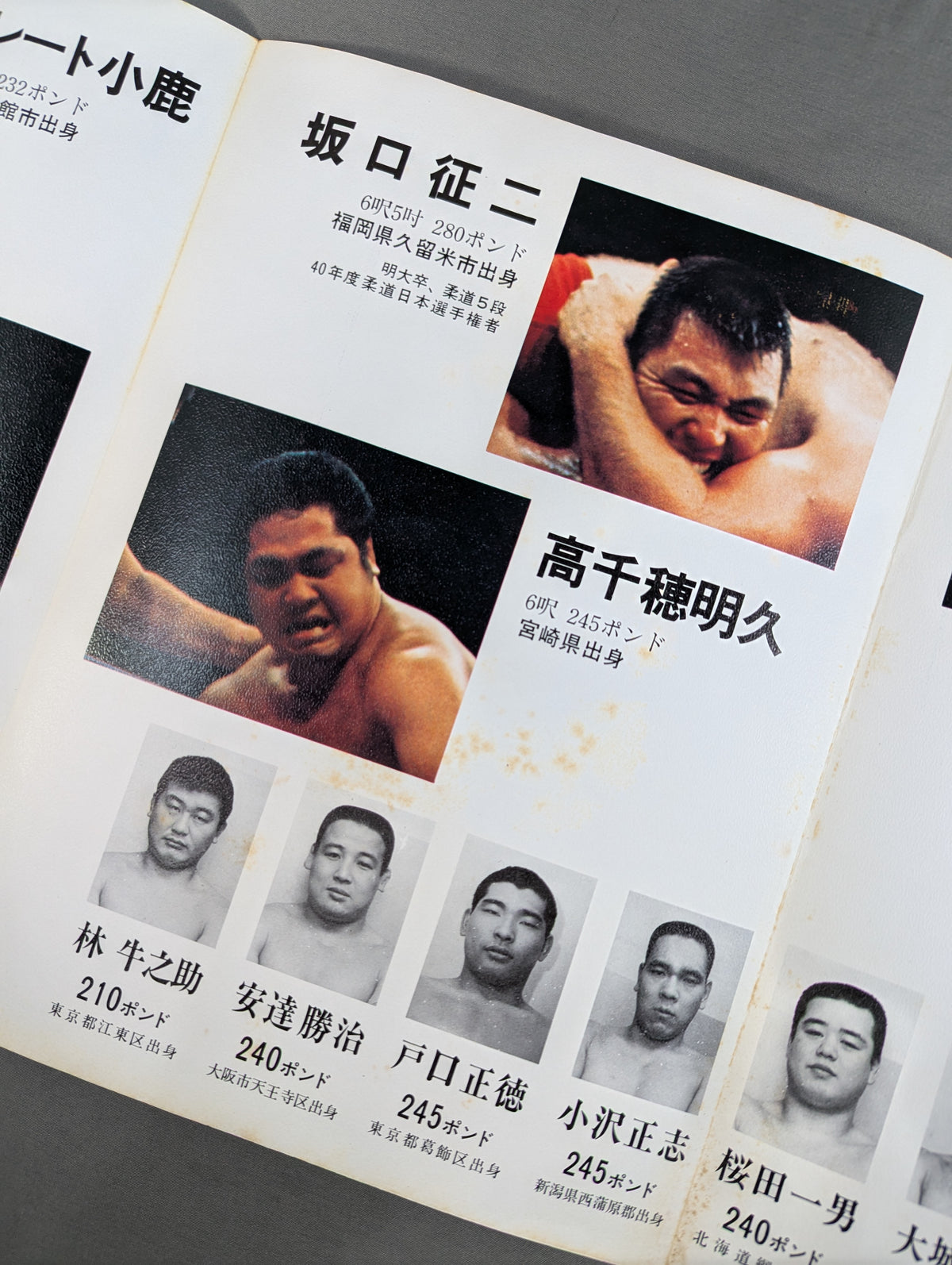 Goannai Japan Pro Wrestling