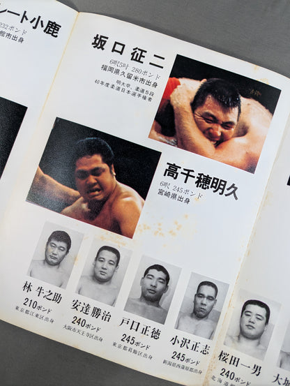Goannai Japan Pro Wrestling