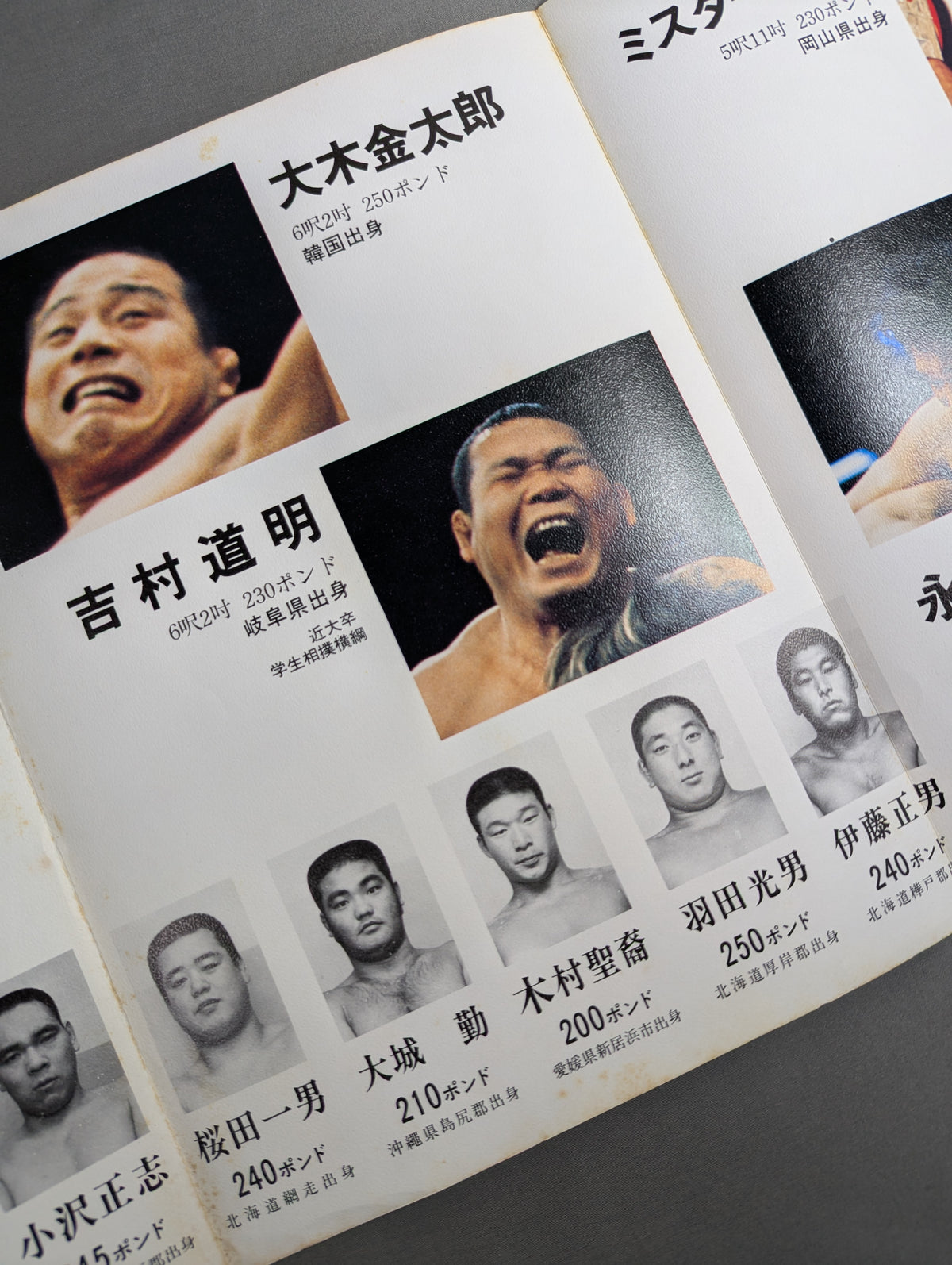 Goannai Japan Pro Wrestling