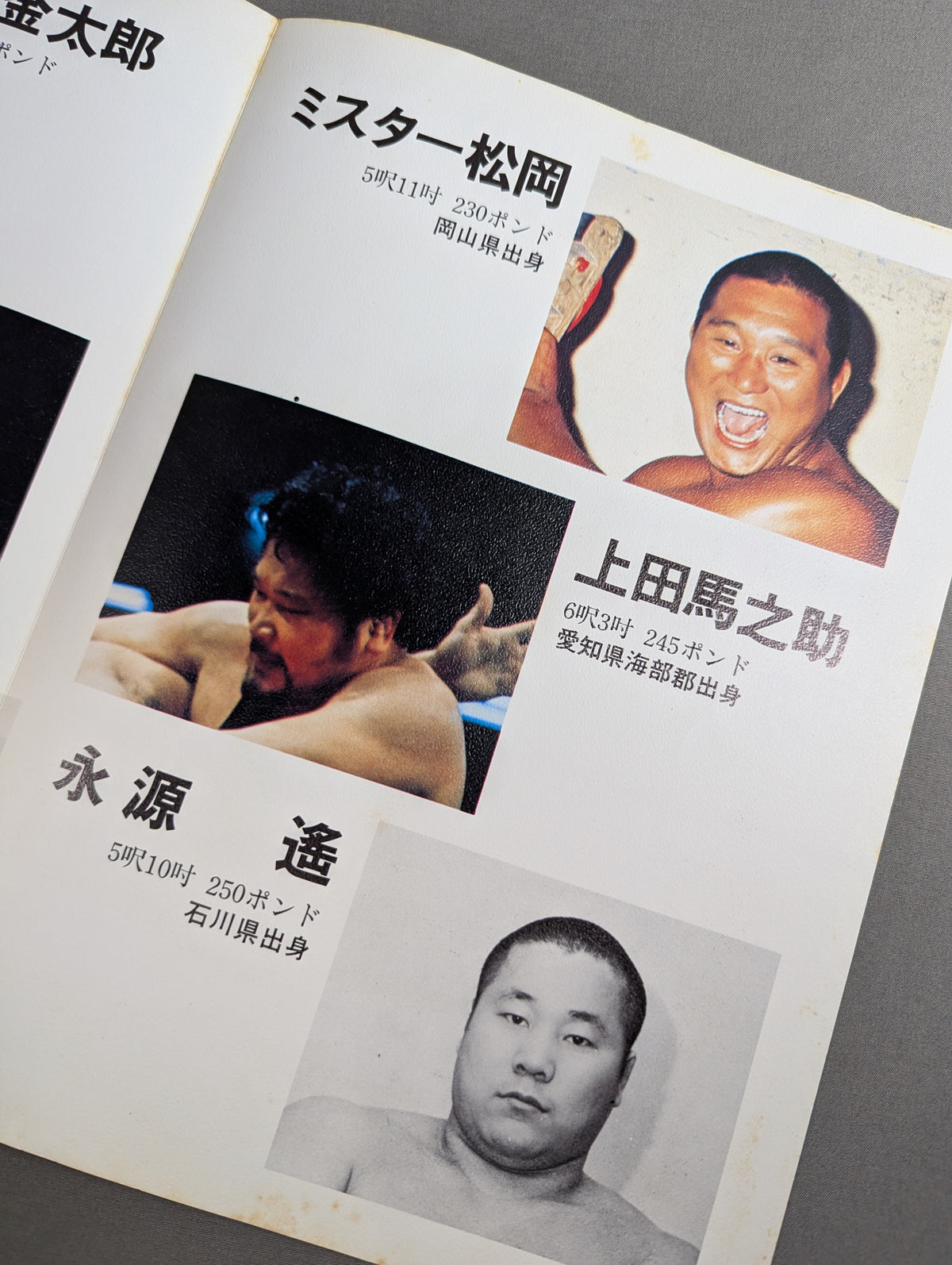 Goannai Japan Pro Wrestling