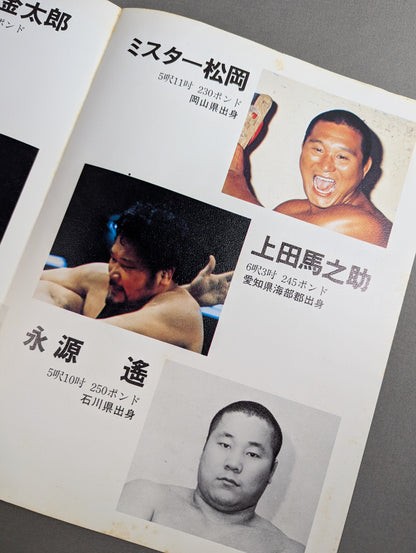 Goannai Japan Pro Wrestling