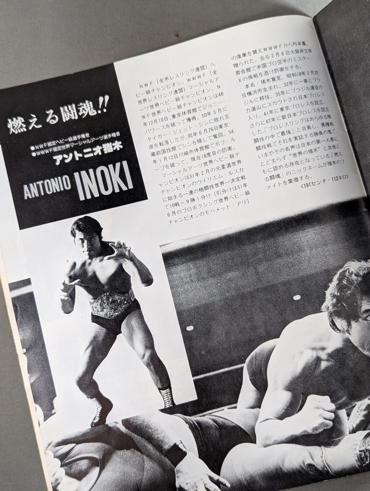 79ビッグファイトシリーズ