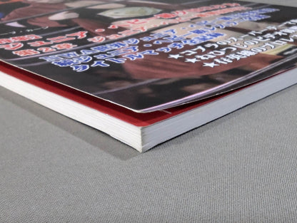 ミック博士の昭和プロレスマガジン第41号 ★特集 ジュニア・ヘビー級クロニクル 第2章