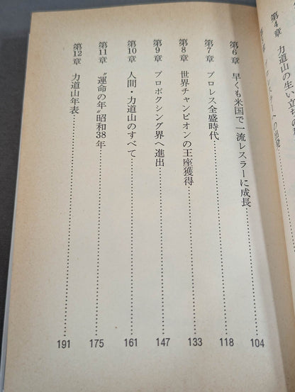 今なぜか力道山 真相・最強不滅の空手チョップ