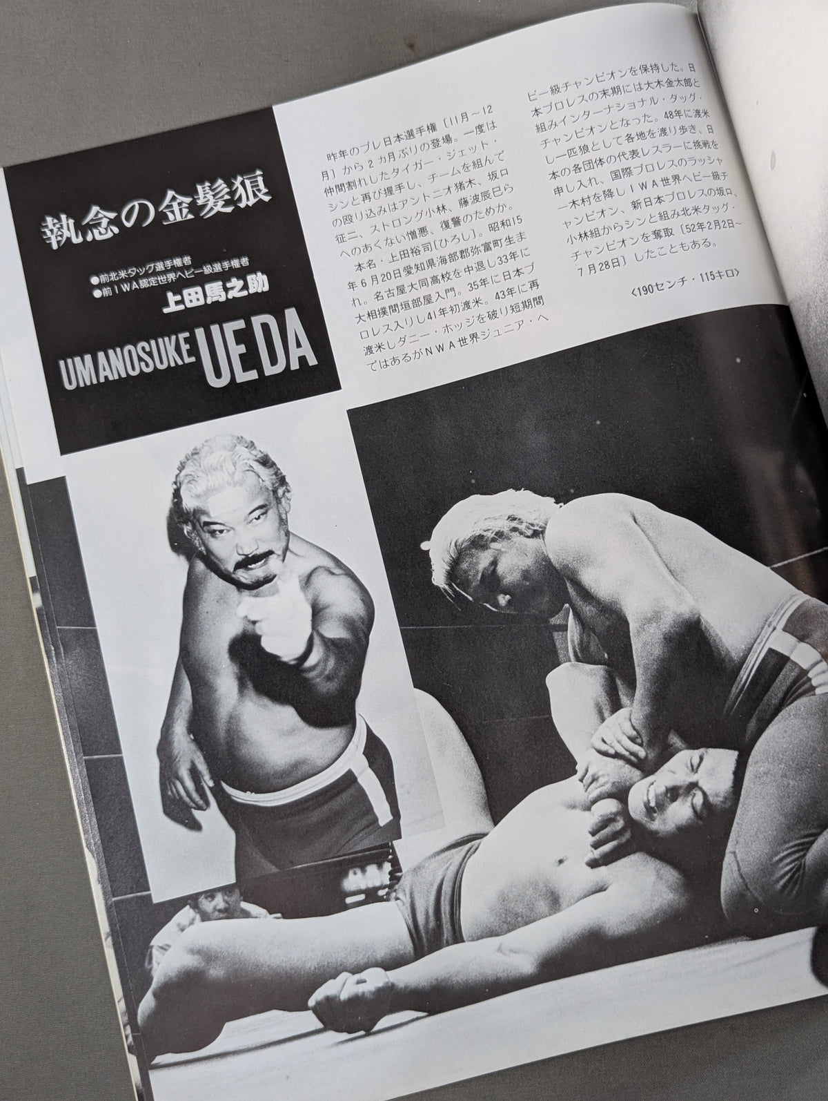 79 Big Fight Series