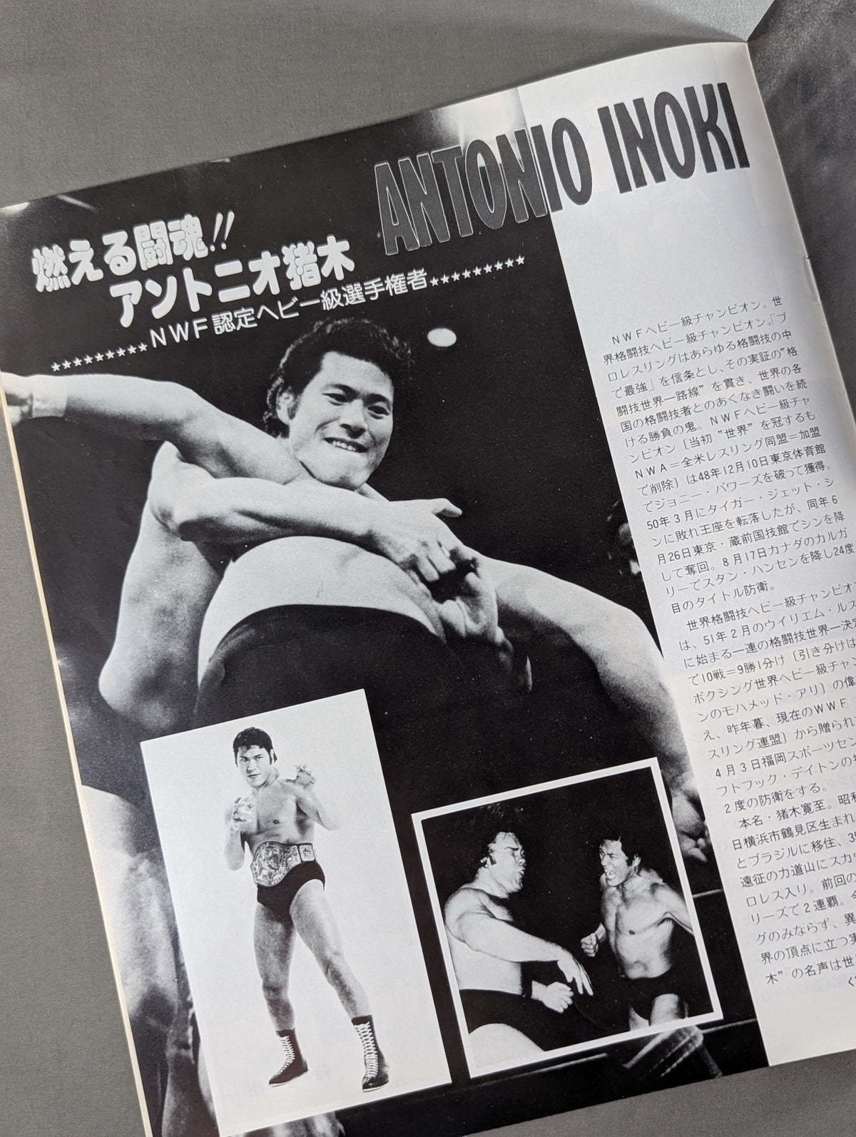 79ブラディファイトシリーズ