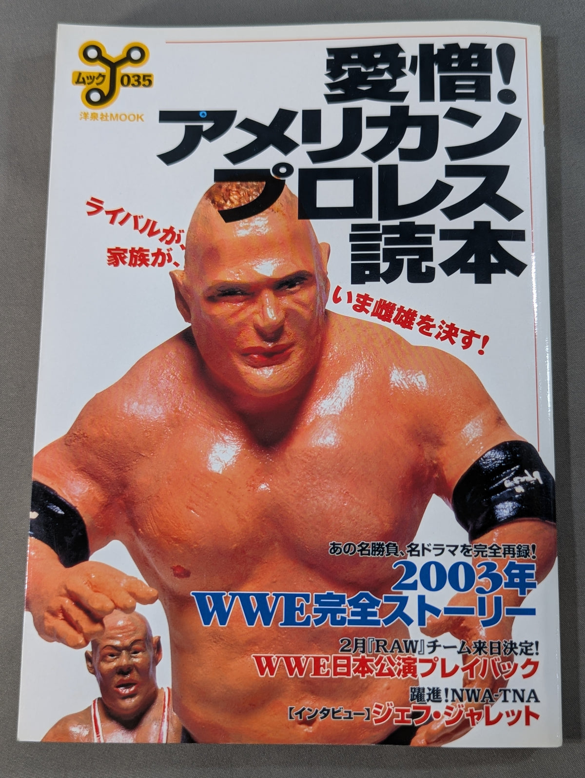 愛憎!アメリカンプロレス読本 ライバルが家族がいま雌雄を決す!